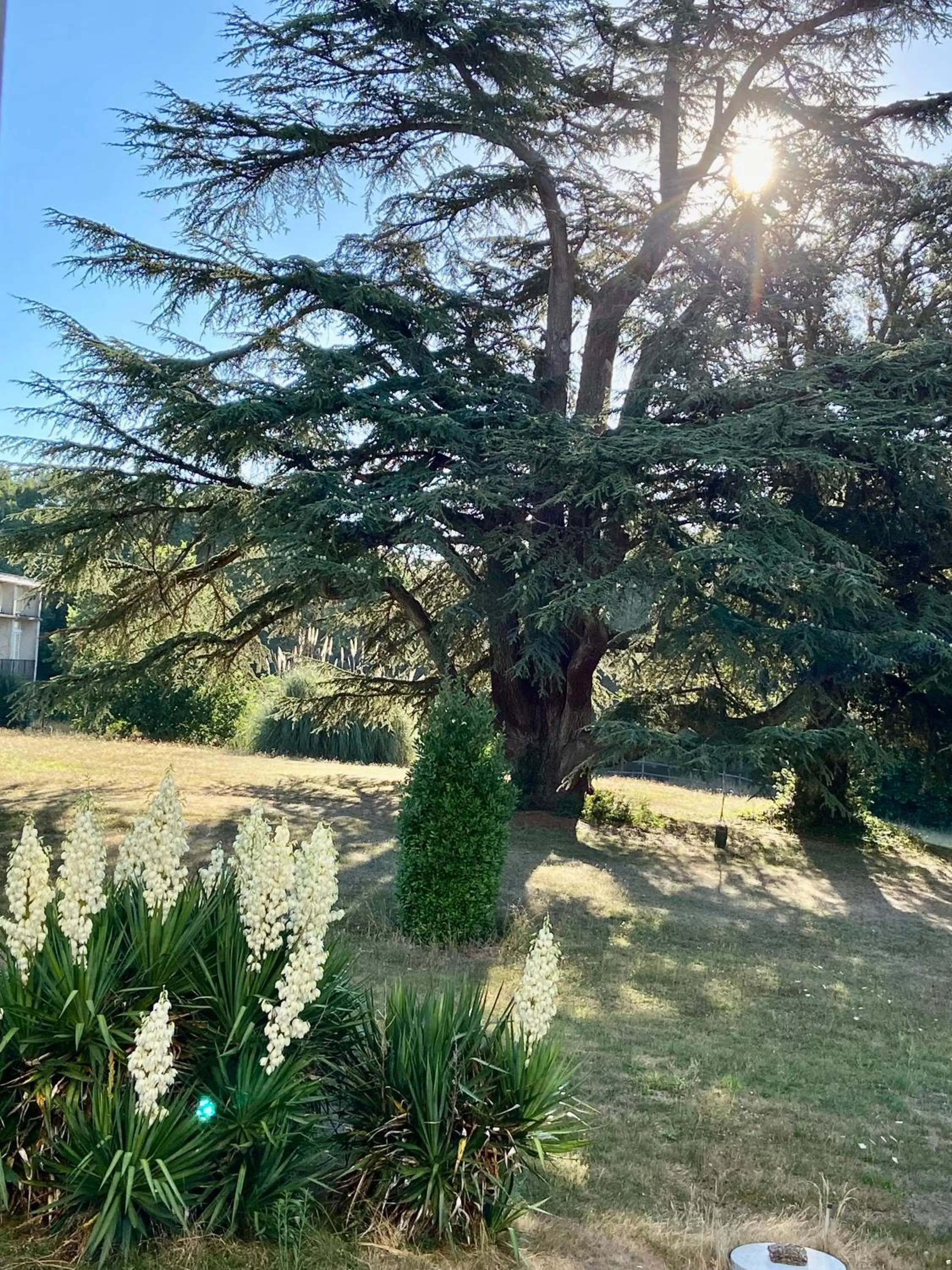 Château La Bainerie