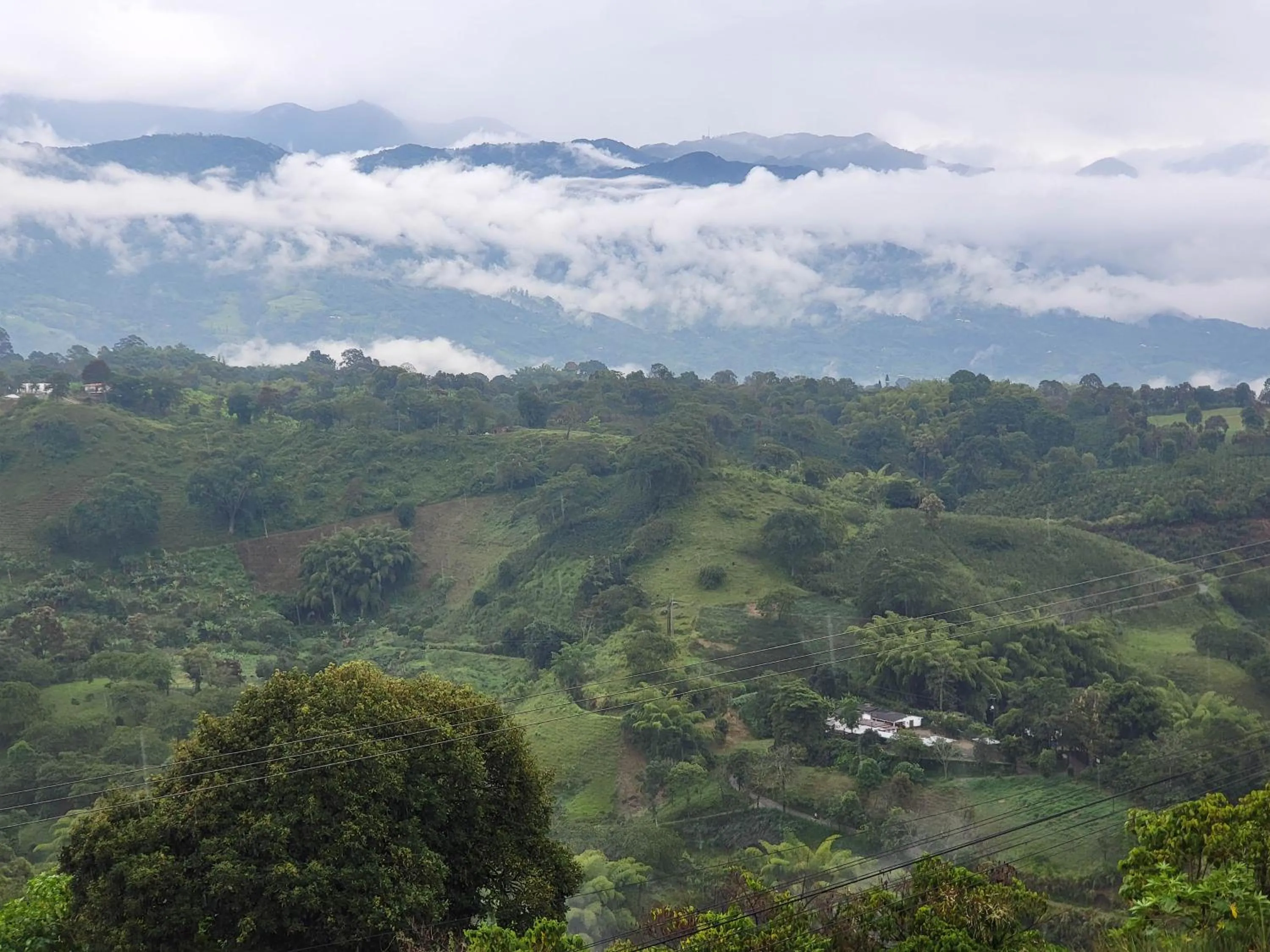 Natural landscape in Hotel La Gran Estaciónag
