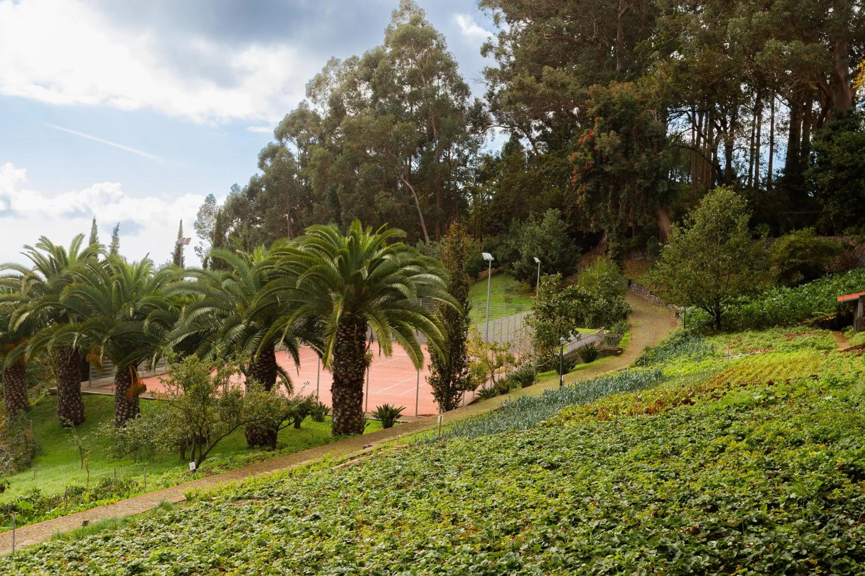 Garden in BIO Hotel - Hotel Quinta da Serra