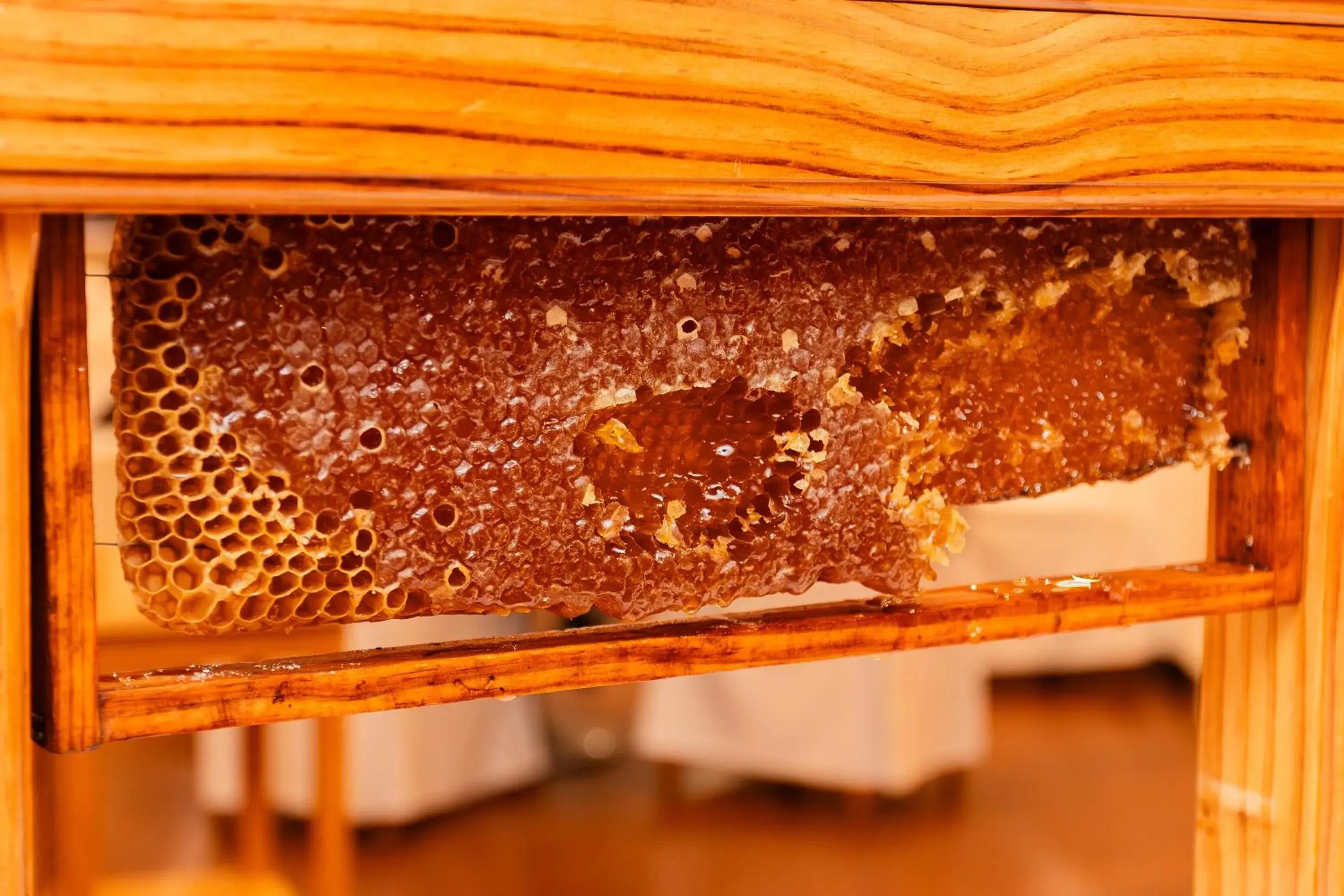 Breakfast in BIO Hotel - Hotel Quinta da Serra Breakfast in BIO Hotel - Hotel Quinta da Serra