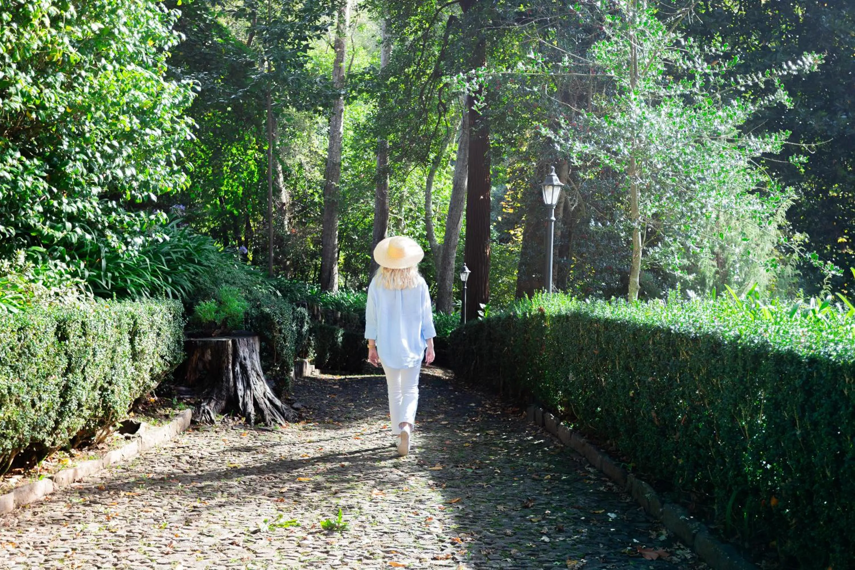 Garden in BIO Hotel - Hotel Quinta da Serra