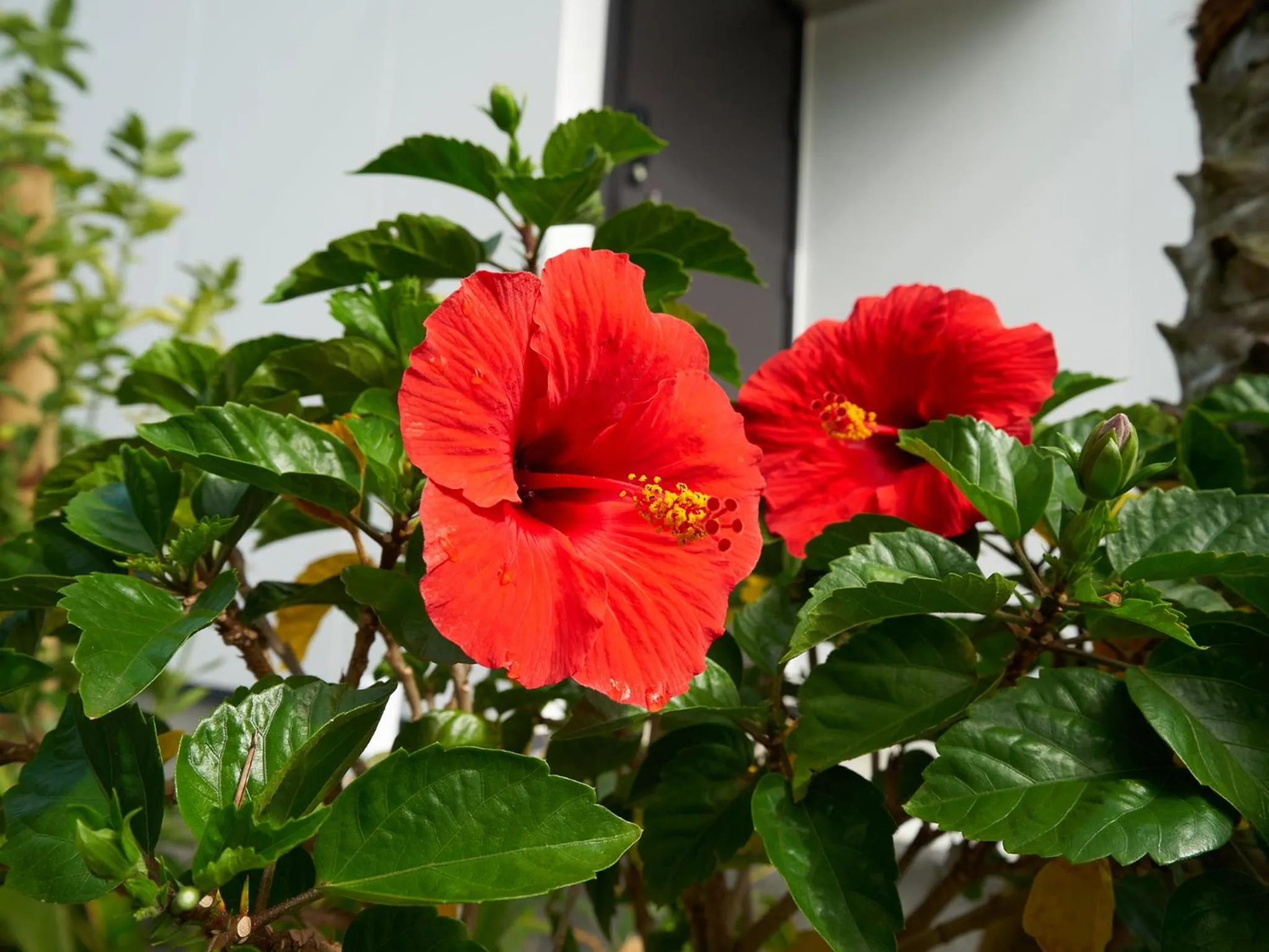 Natural landscape in Rakuten STAY HOUSE x WILL STYLE Miyazaki Aoshima