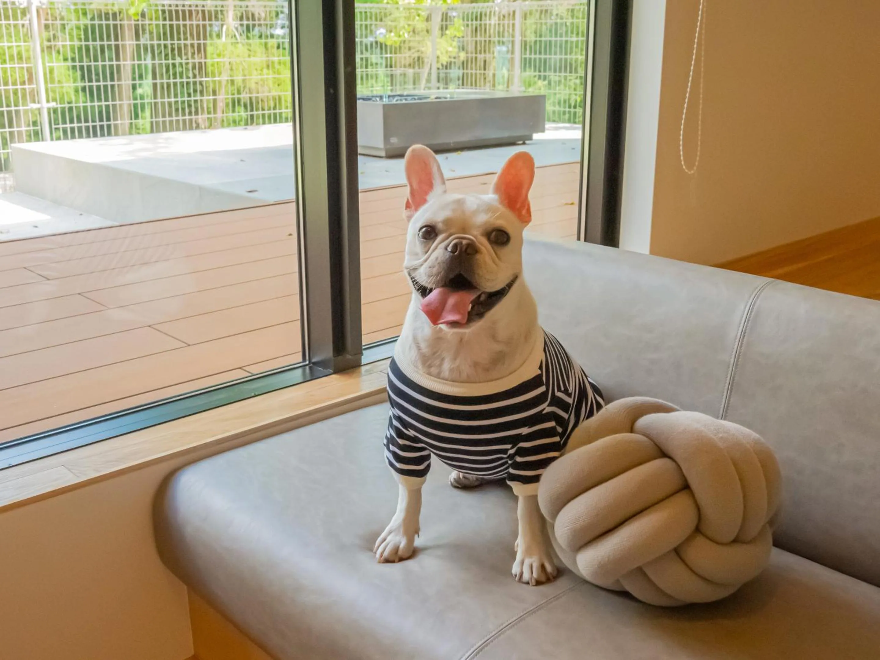 Pets in Rakuten STAY VILLA Aso Kurokawa