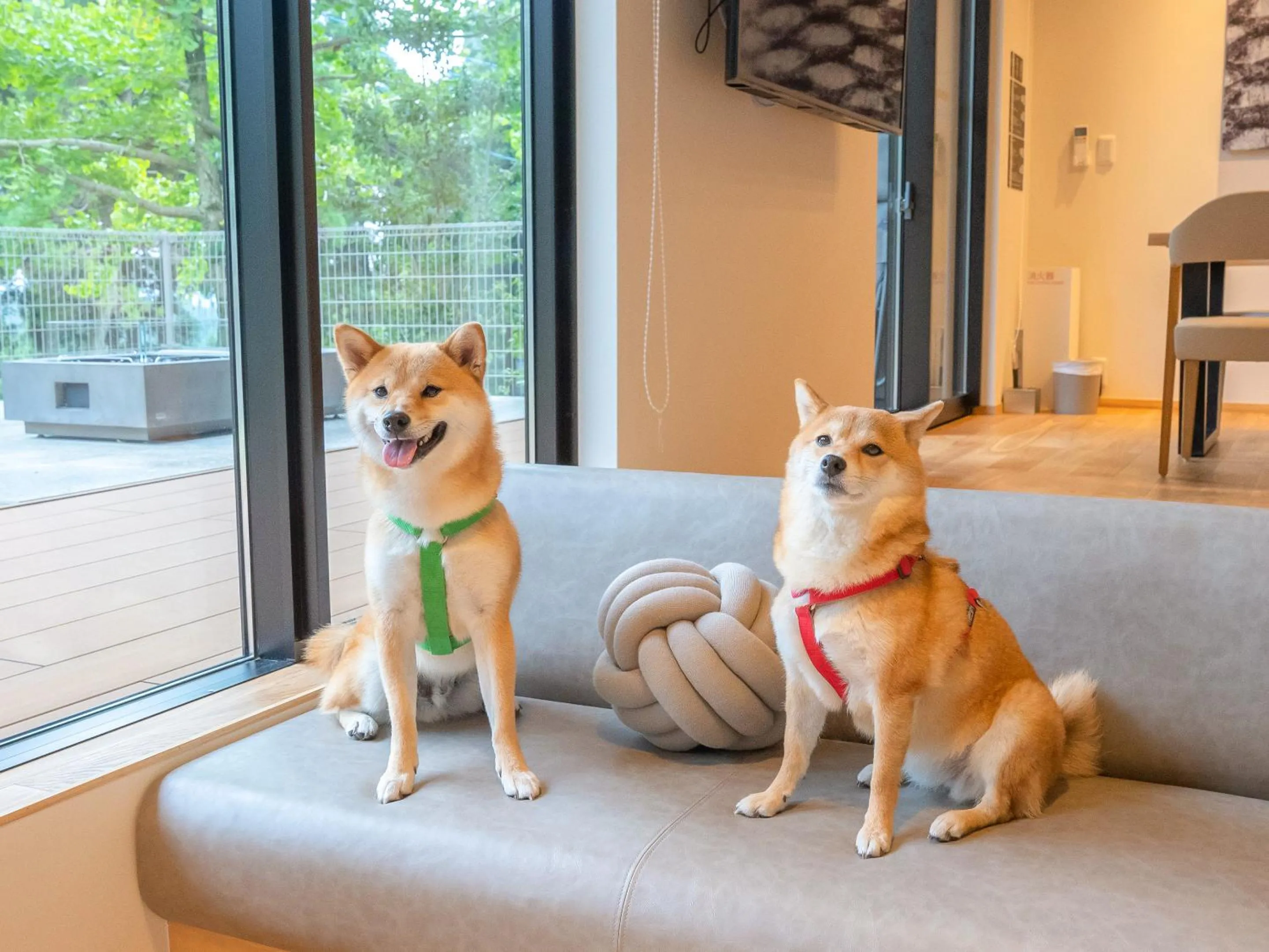 Pets in Rakuten STAY VILLA Aso Kurokawa