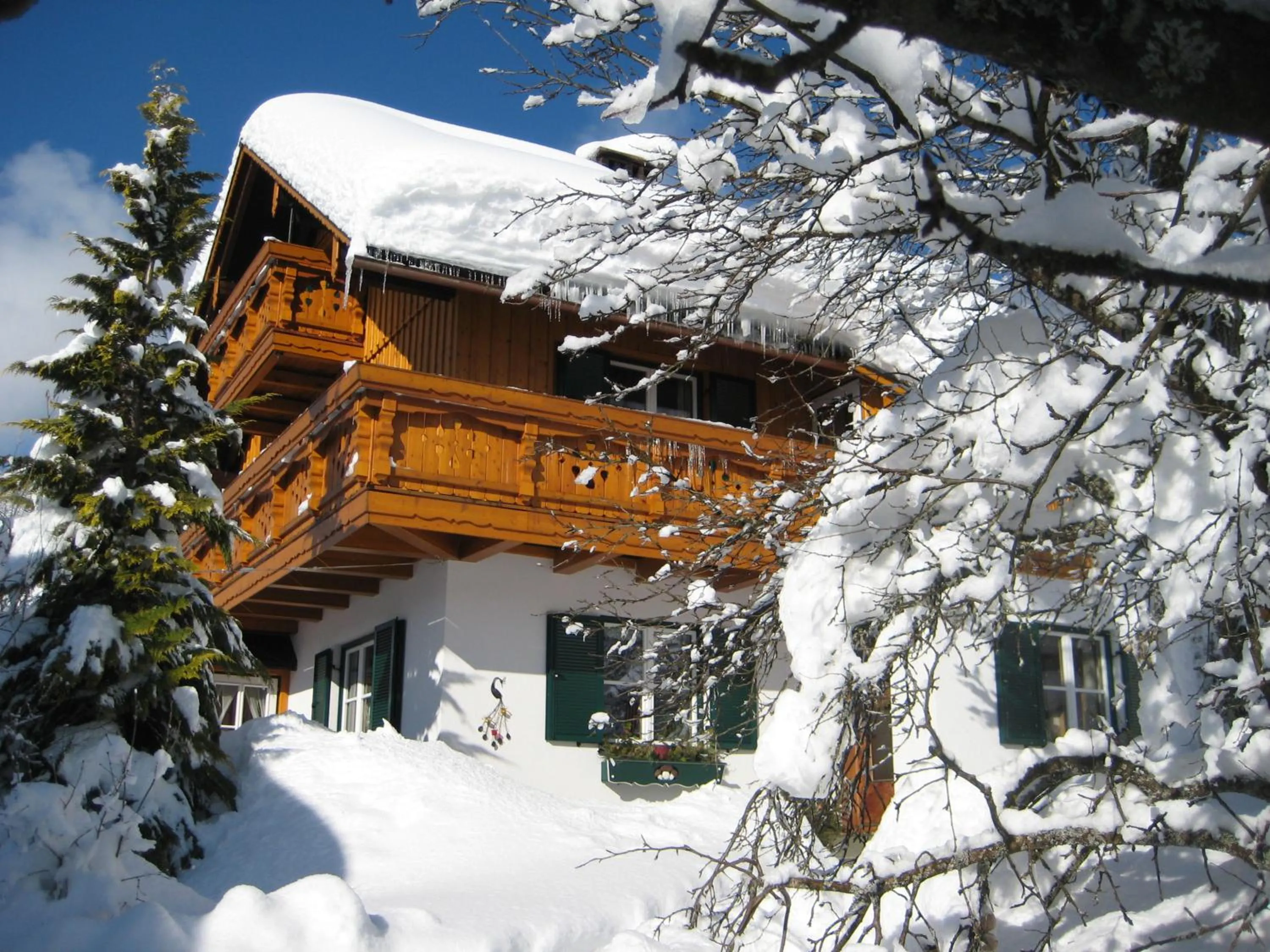 Haus Schrei
