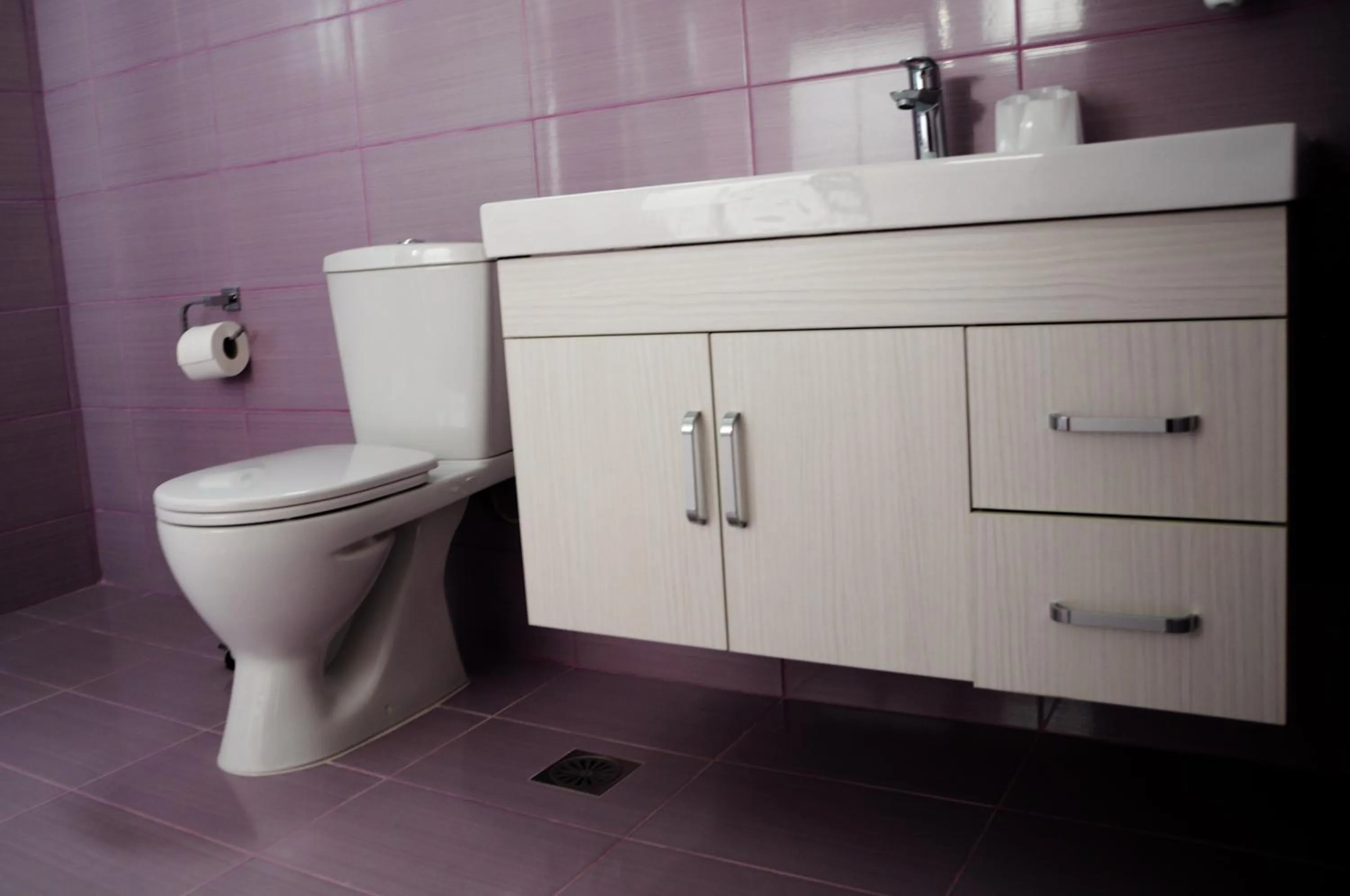 Toilet in Haven Beach