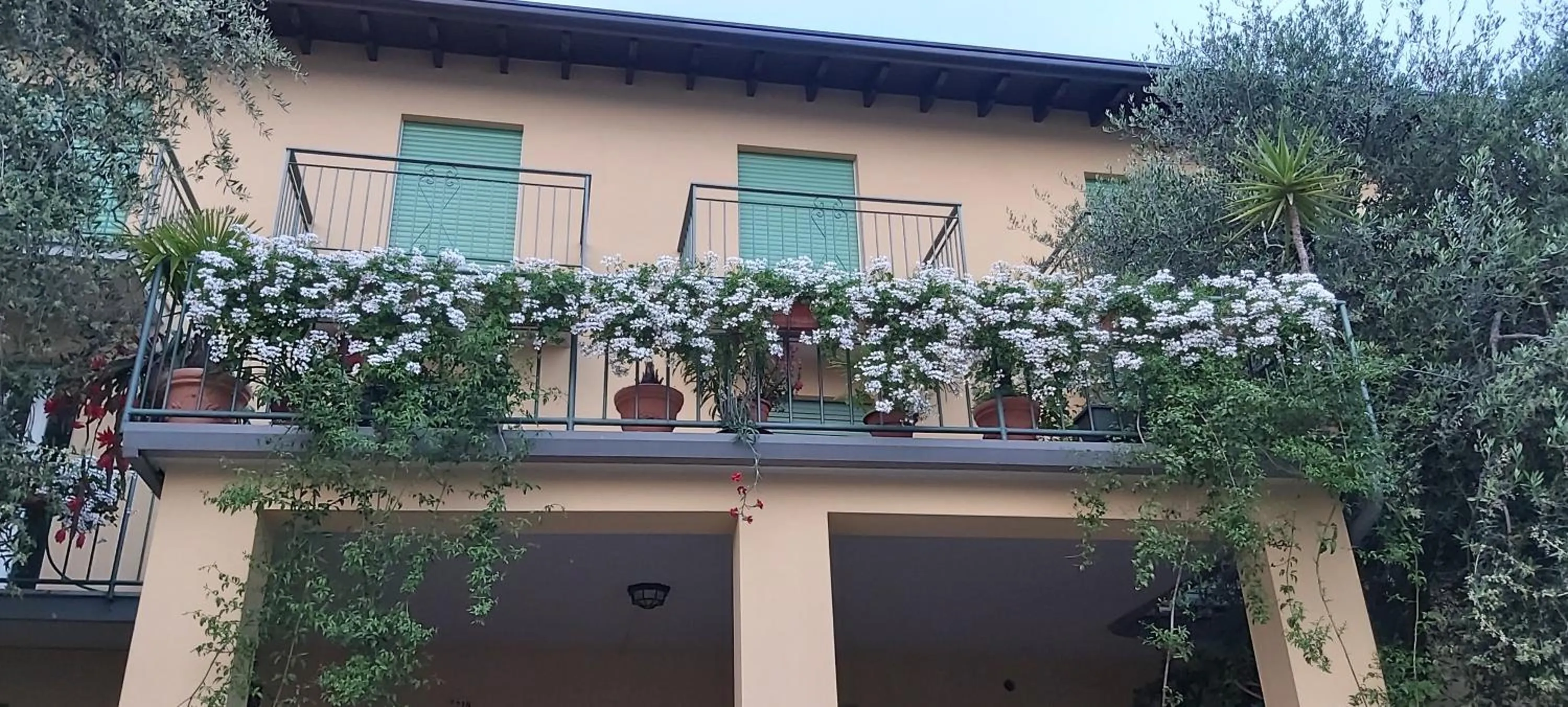 Property building in Hotel Casa Popi