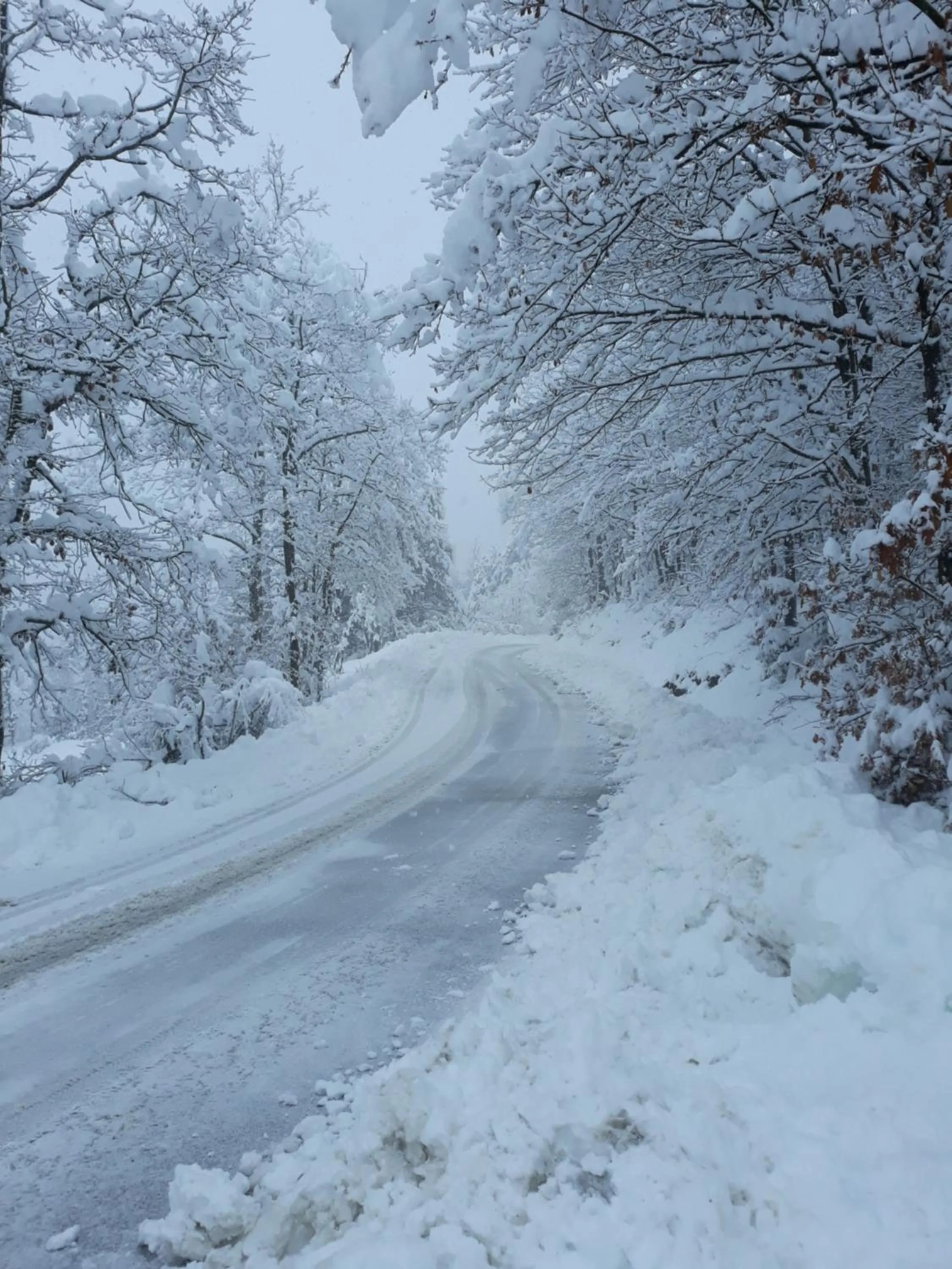 Winter in Tolasudolsa Rooms, Breakfast & Mountain Bike
