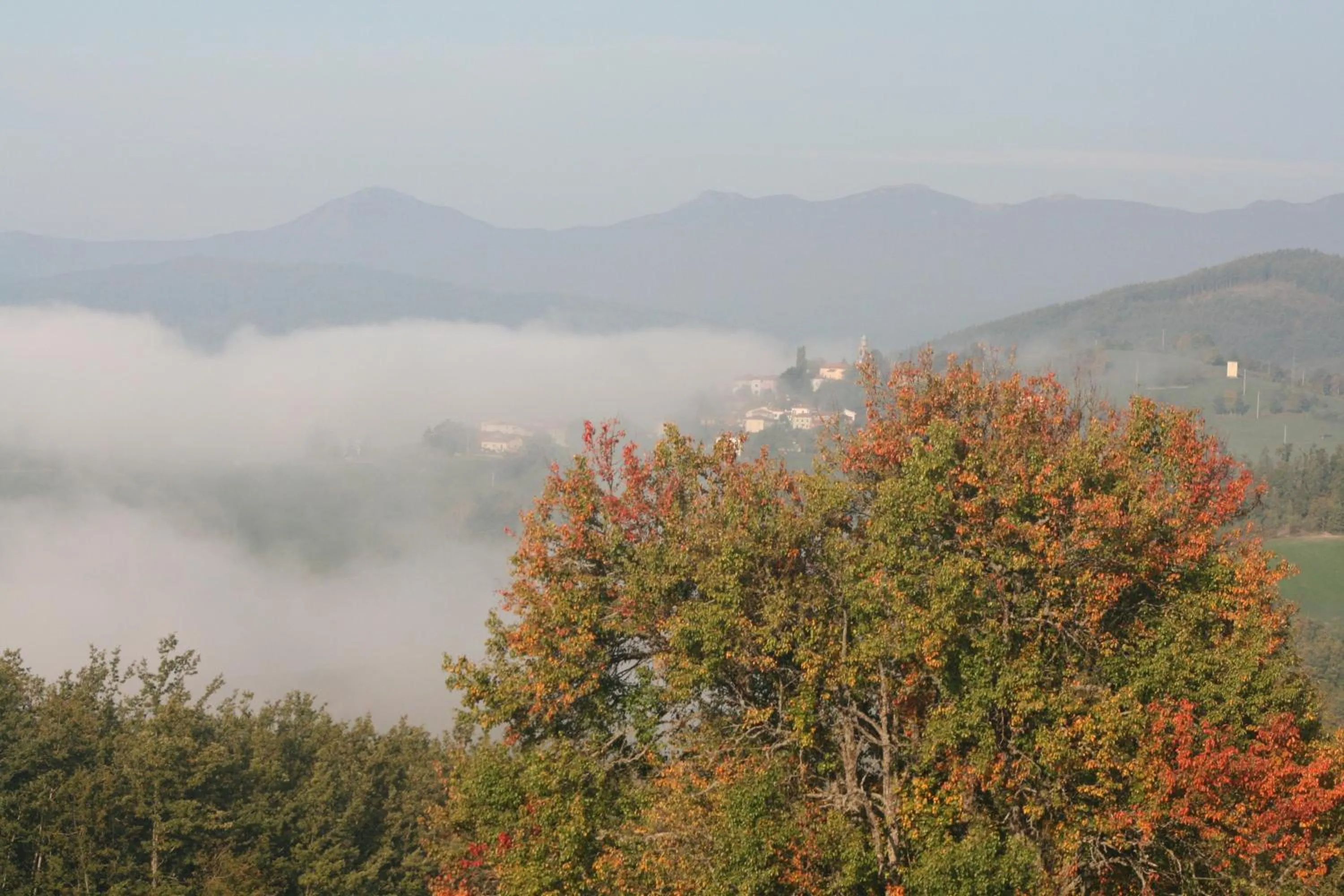 Natural landscape in Tolasudolsa Rooms, Breakfast & Mountain Bike