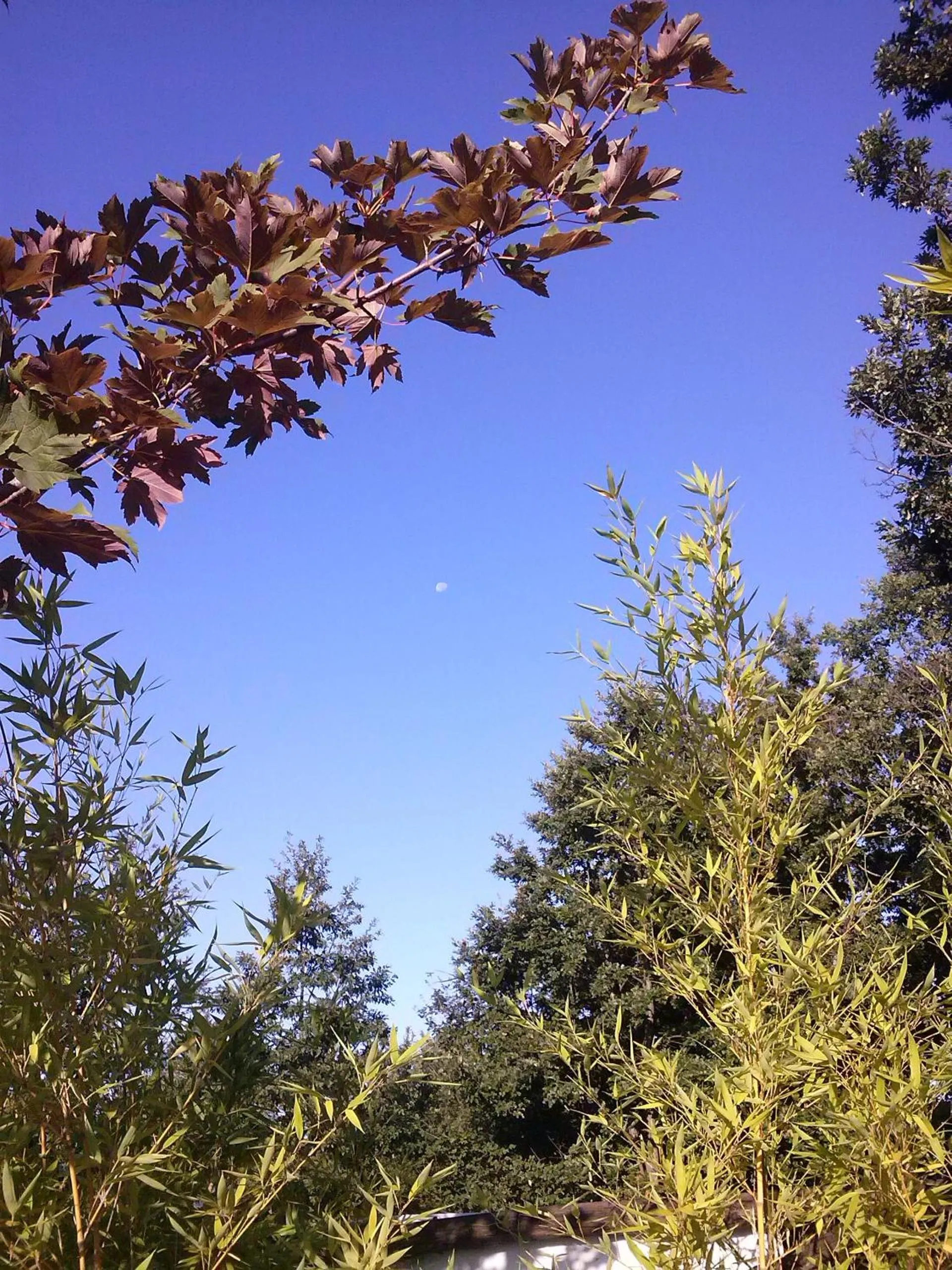 Natural landscape in Tolasudolsa Rooms, Breakfast & Mountain Bike