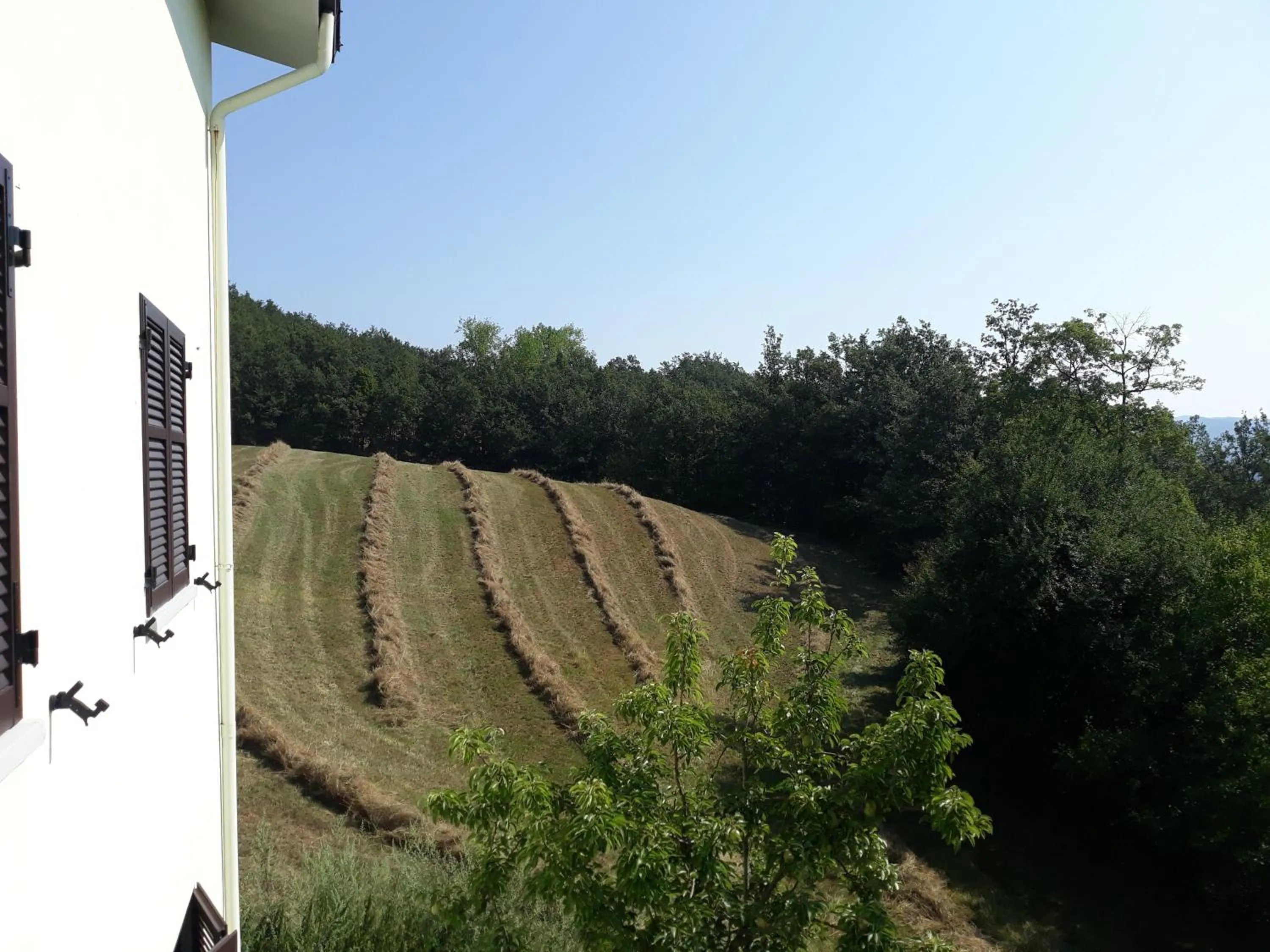 Natural landscape in Tolasudolsa Rooms, Breakfast & Mountain Bike