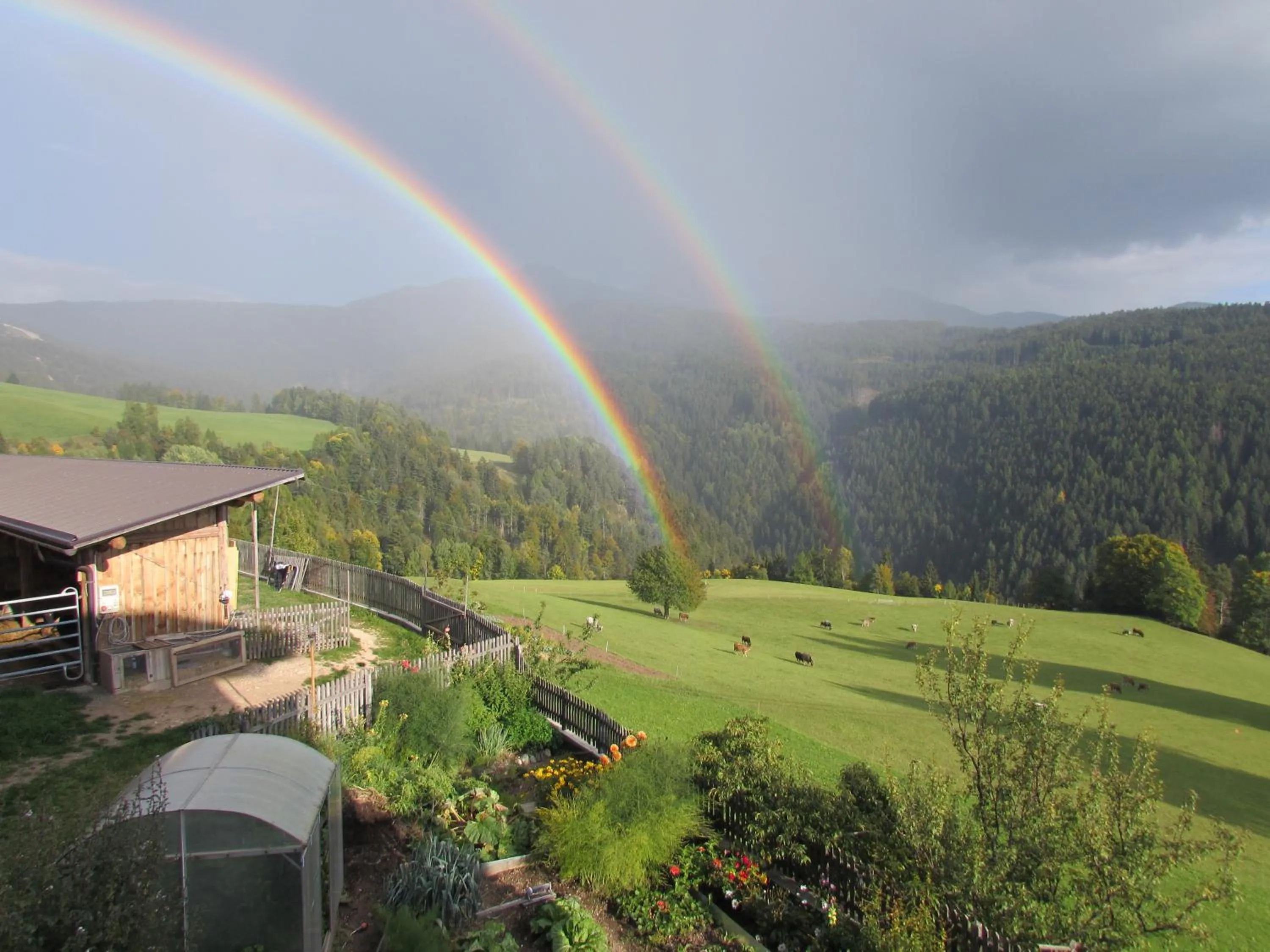 Garden view in Schornhof