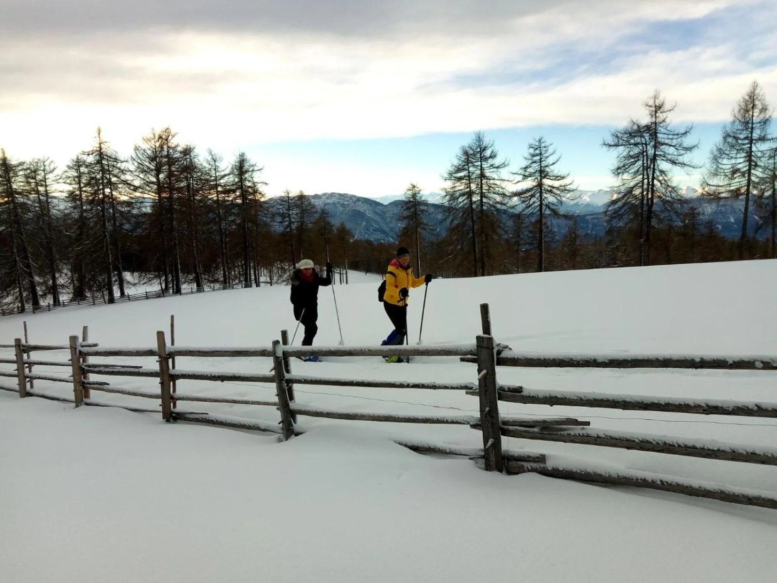 Winter in Schornhof