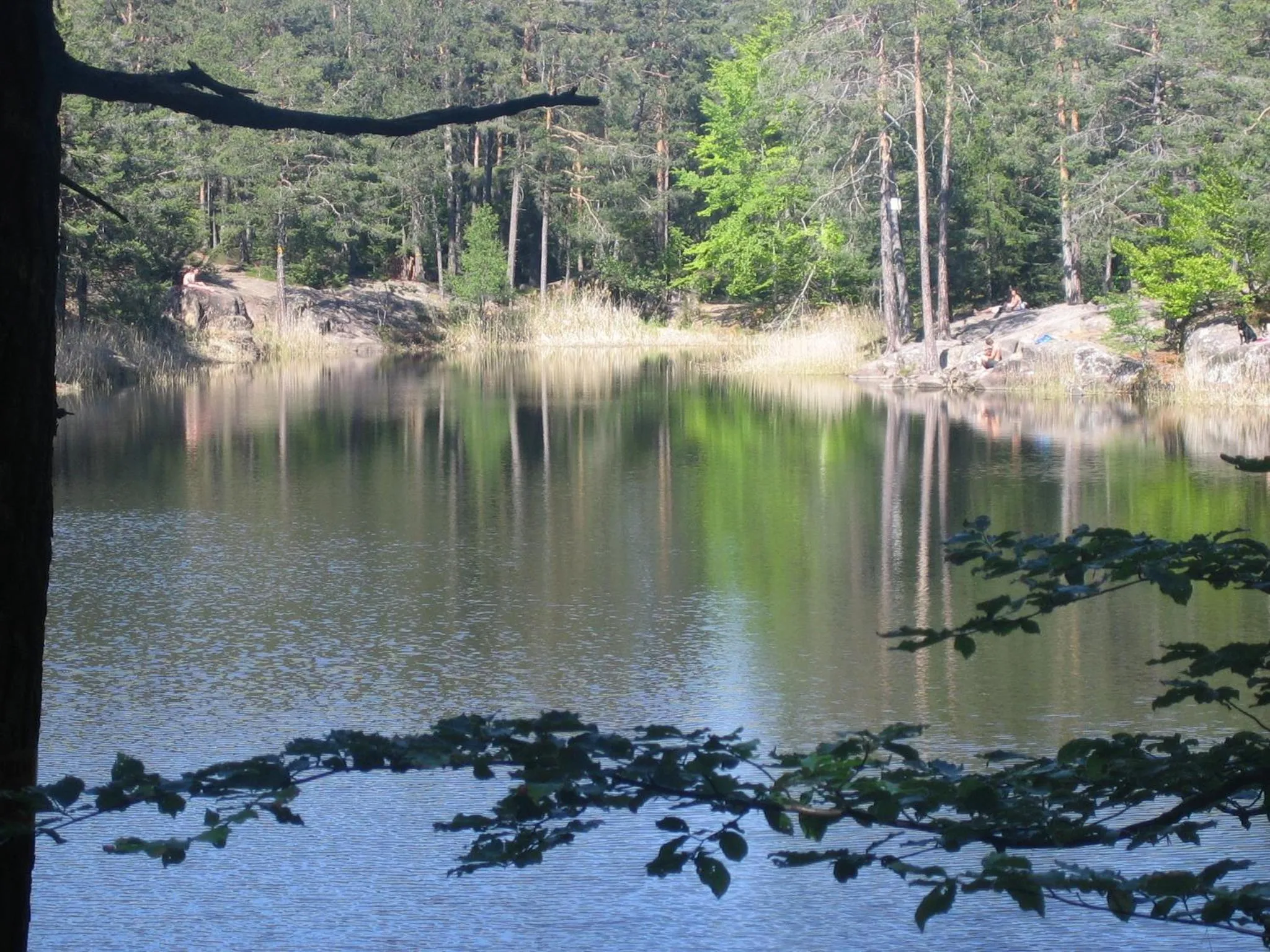 Natural landscape in Schornhof