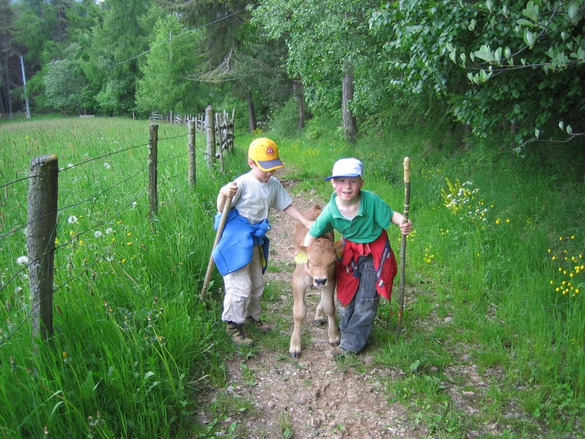 Pets in Schornhof