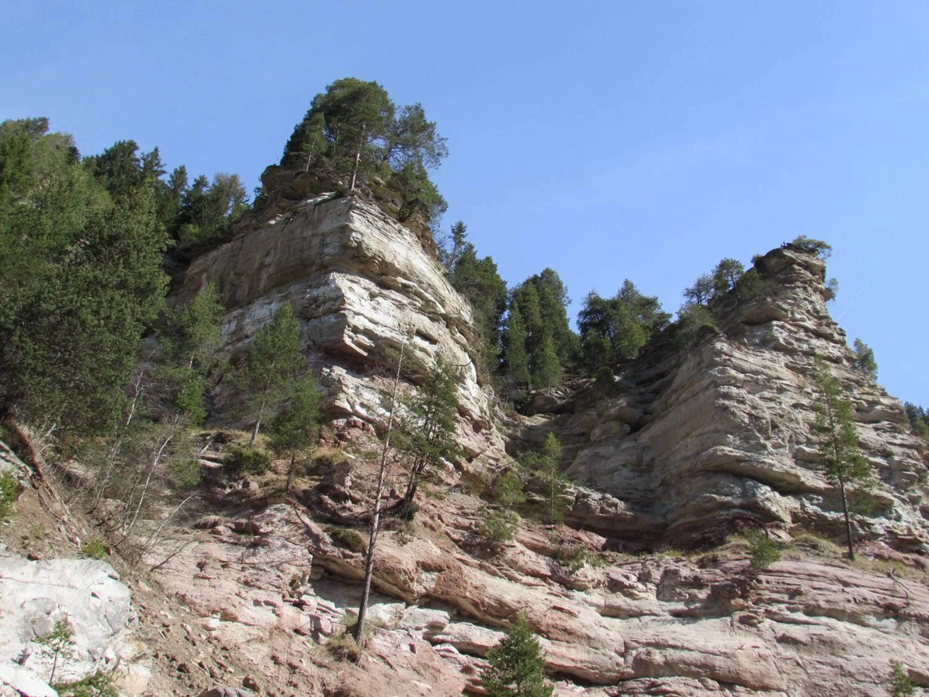 Natural landscape in Schornhof