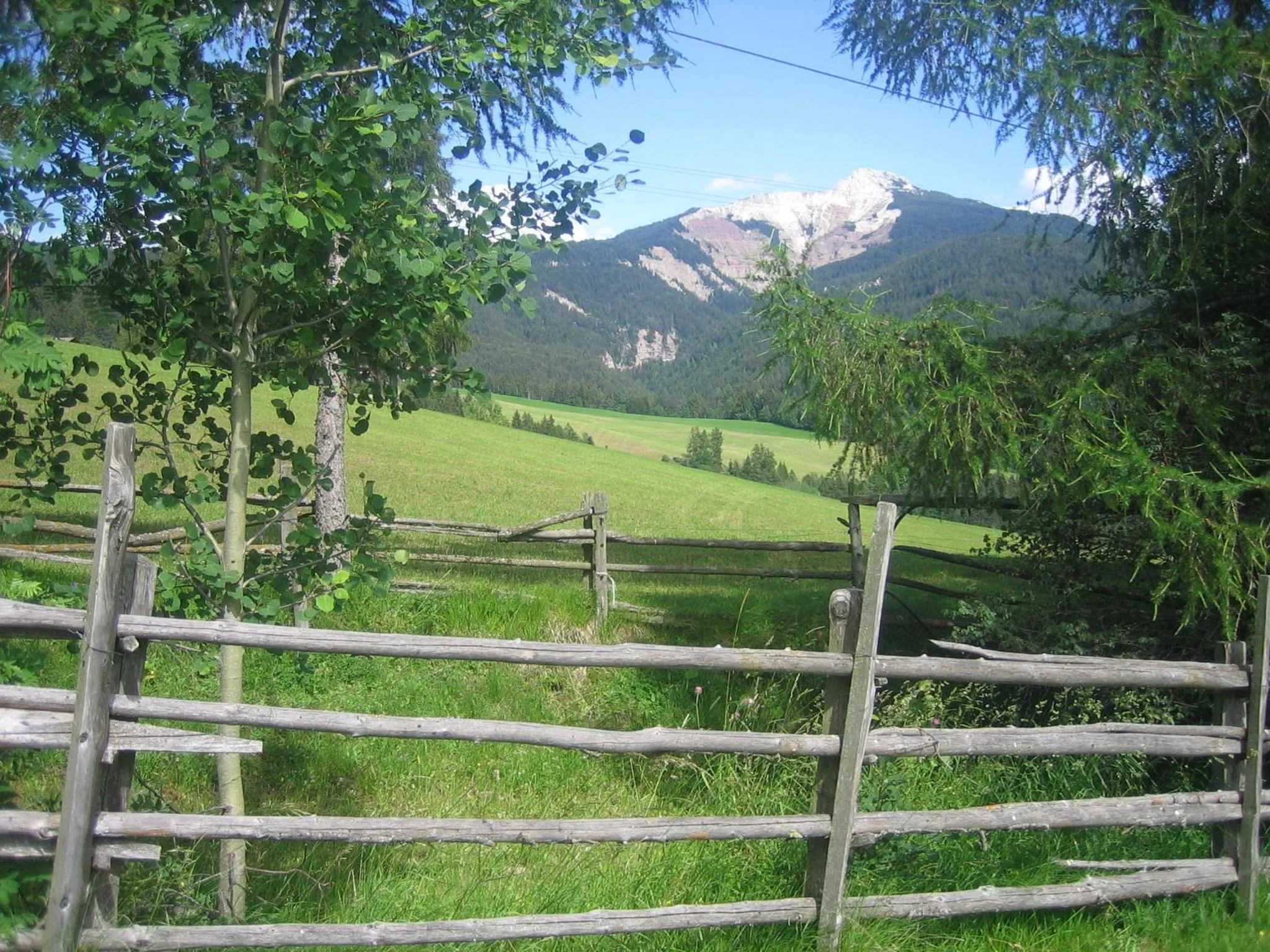 Natural landscape in Schornhof