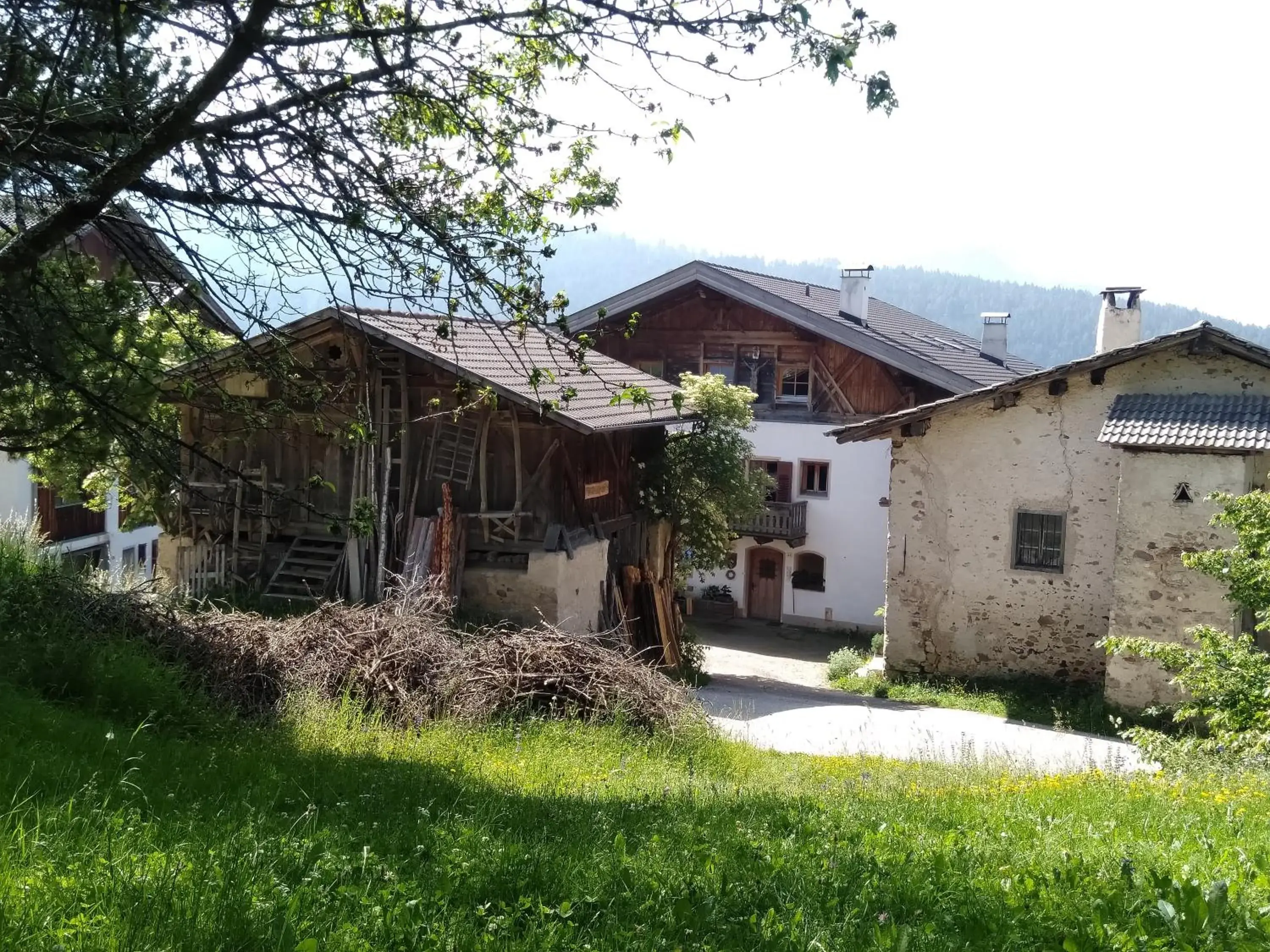 Schornhof Schornhof