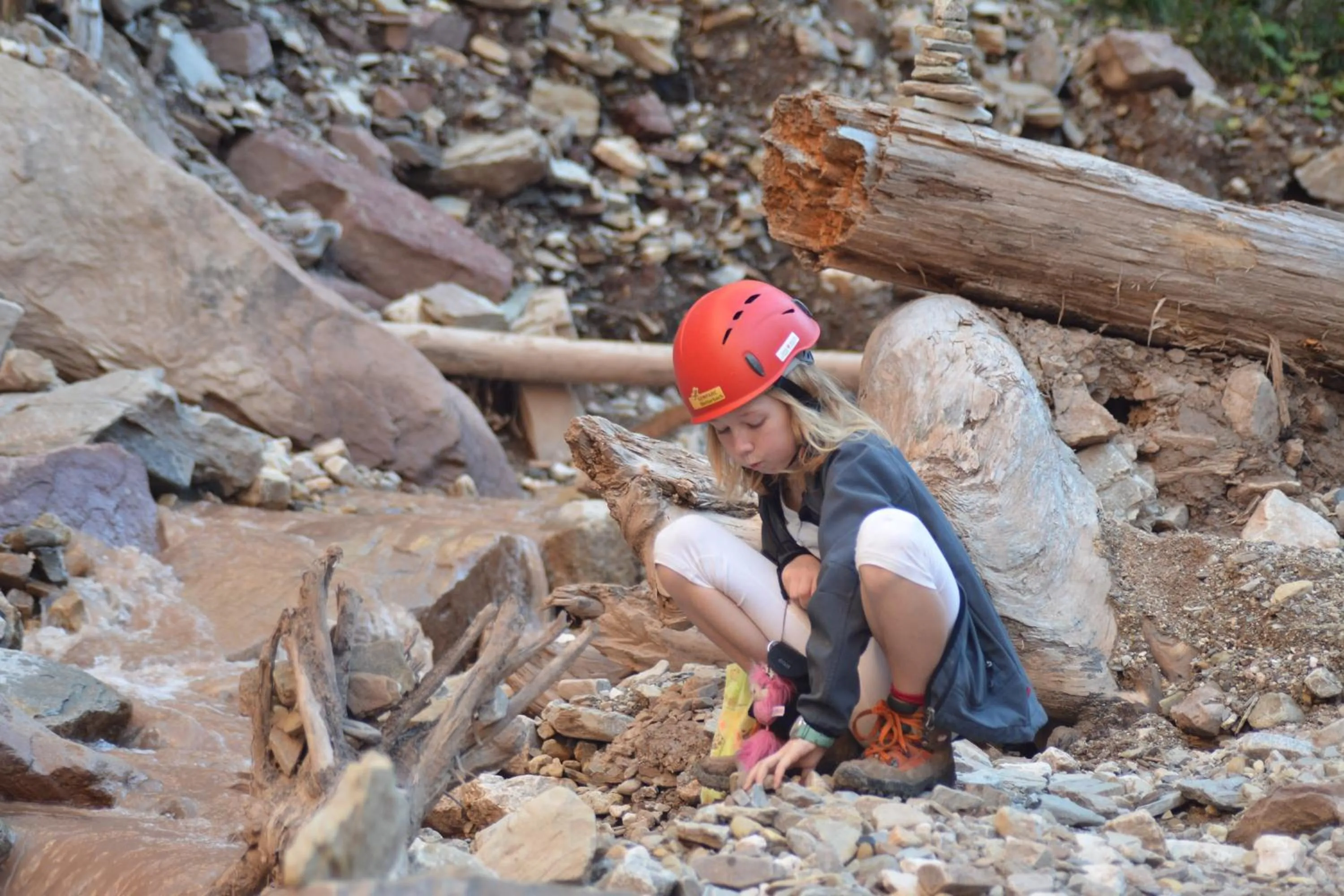 Activities in Schornhof
