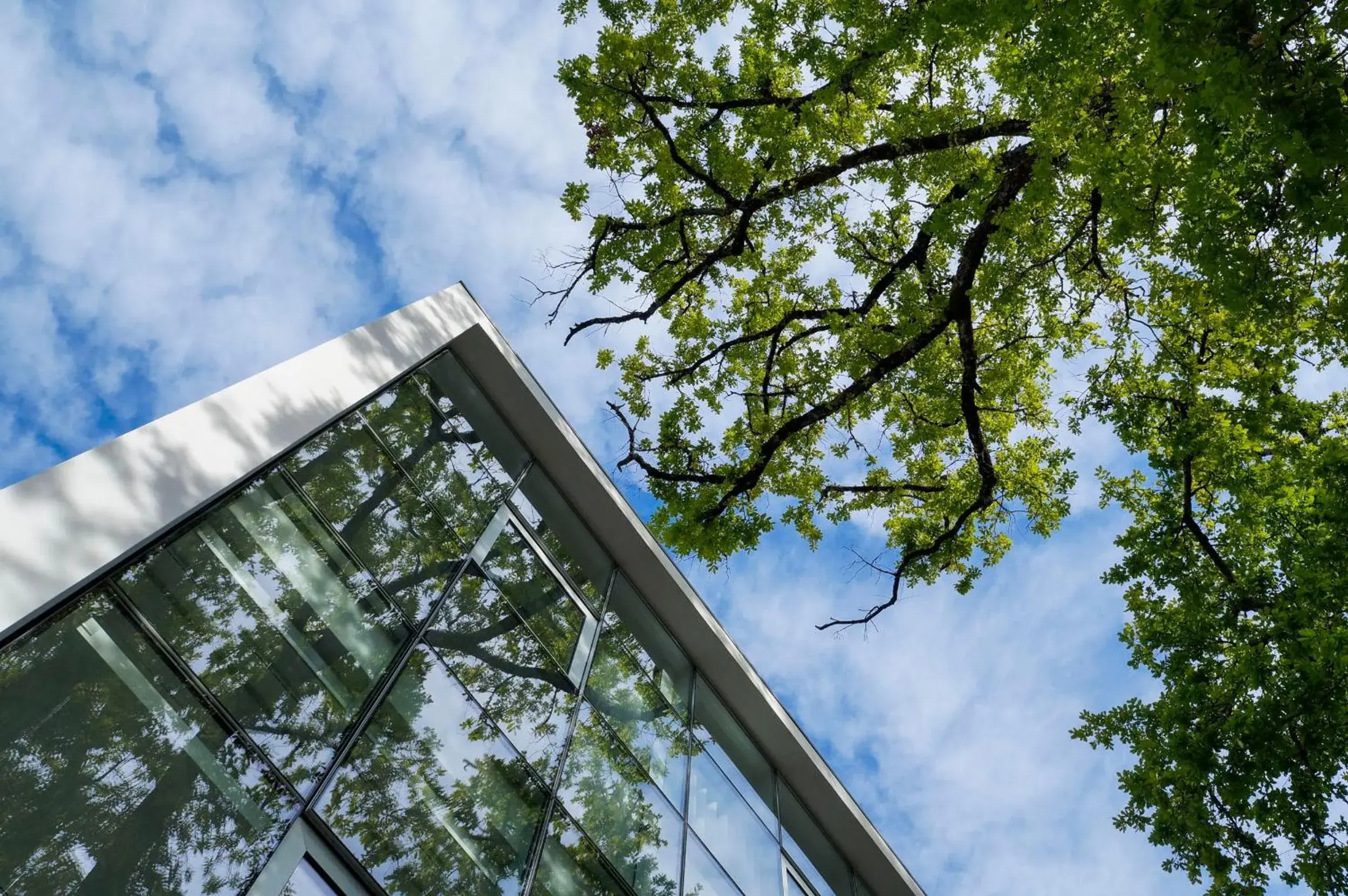 Facade/entrance in Boticas Hotel Art & SPA Facade/entrance in Boticas Hotel Art & SPA