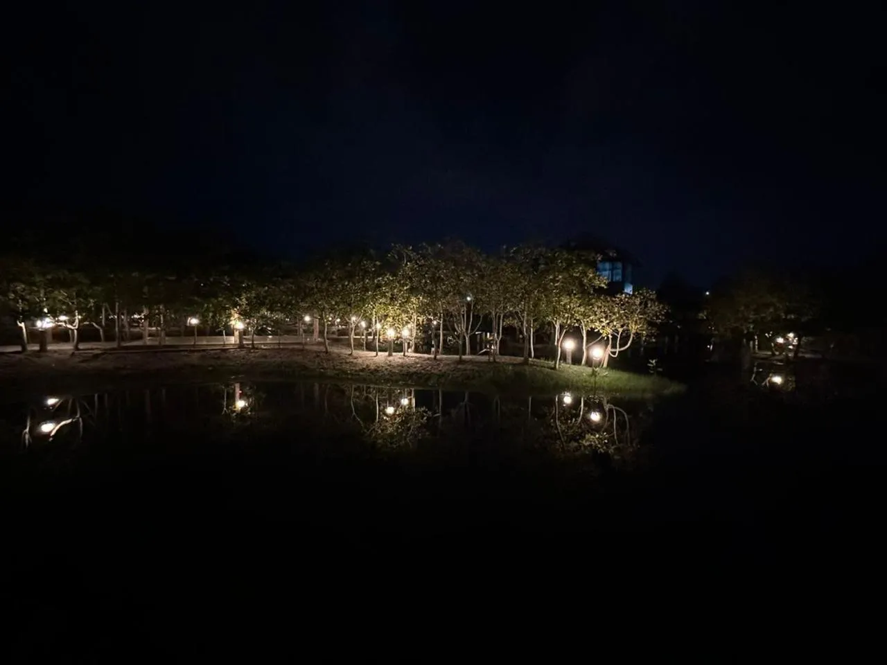 Night in The Beatles Lagoon