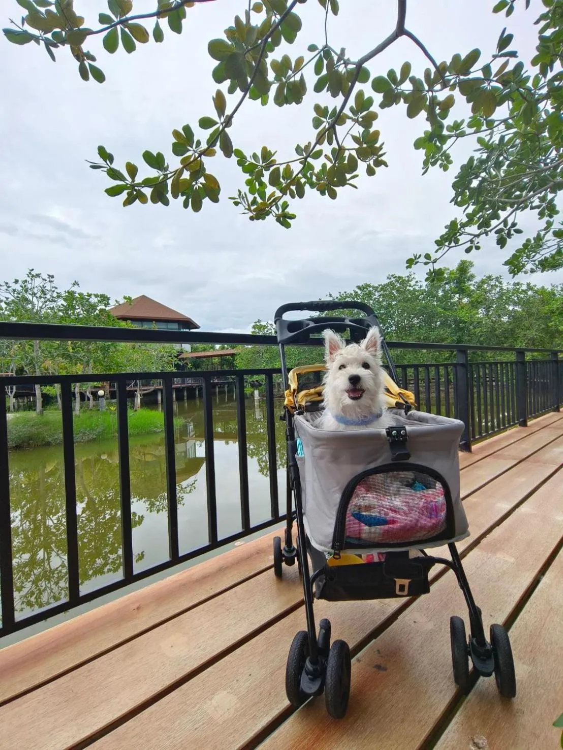 Facade/entrance in The Beatles Lagoon