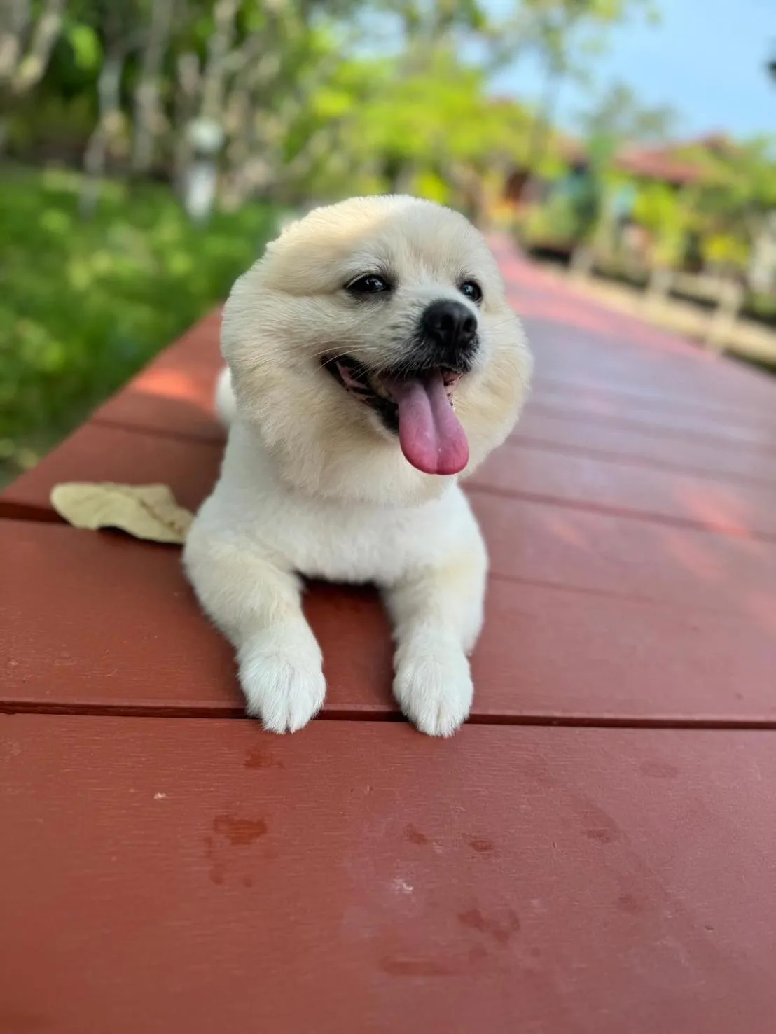 Day in The Beatles Lagoon
