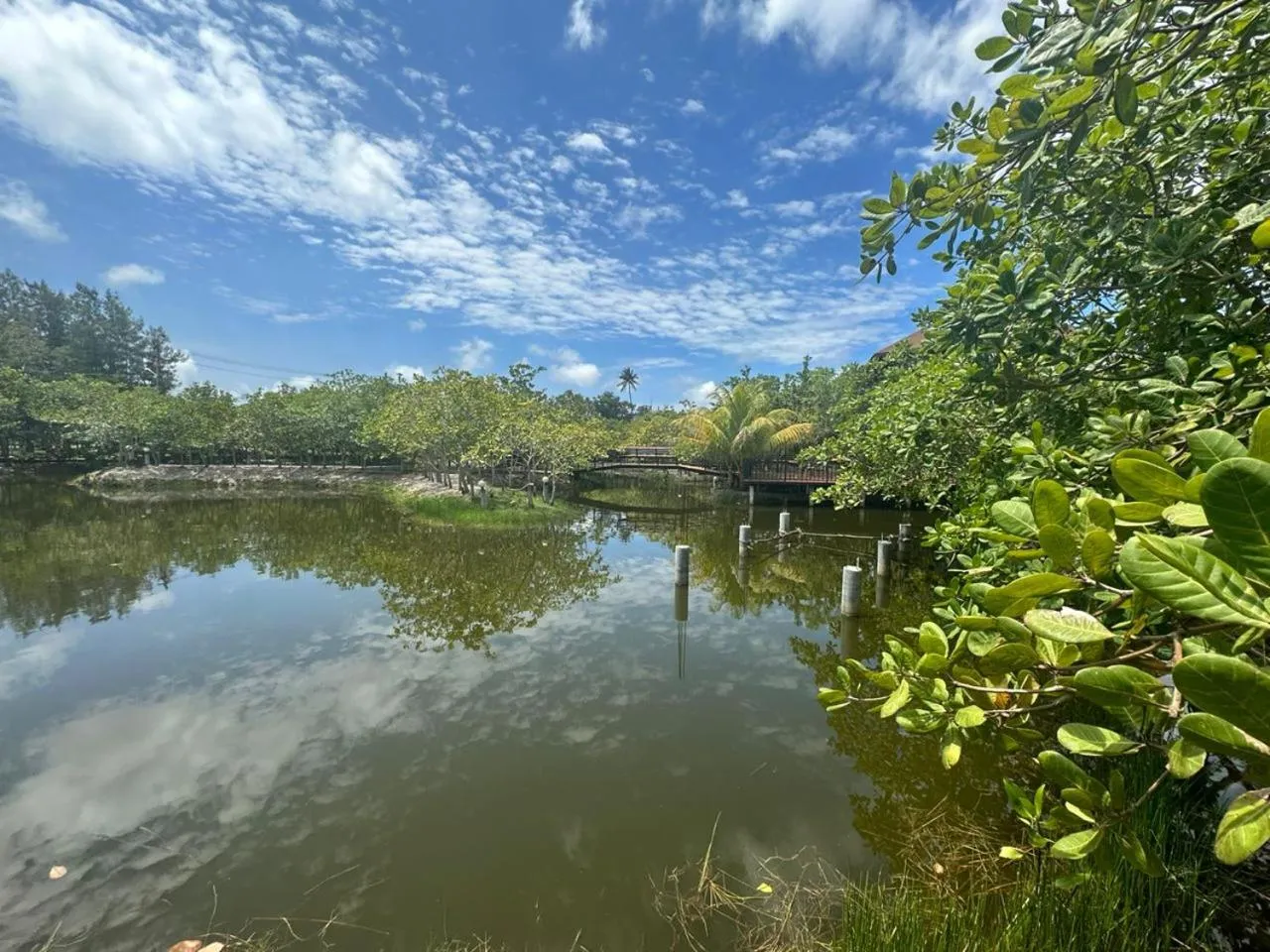 Natural landscape in The Beatles Lagoon