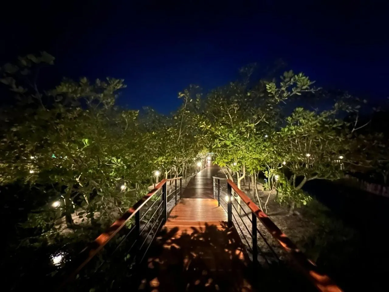 Night in The Beatles Lagoon