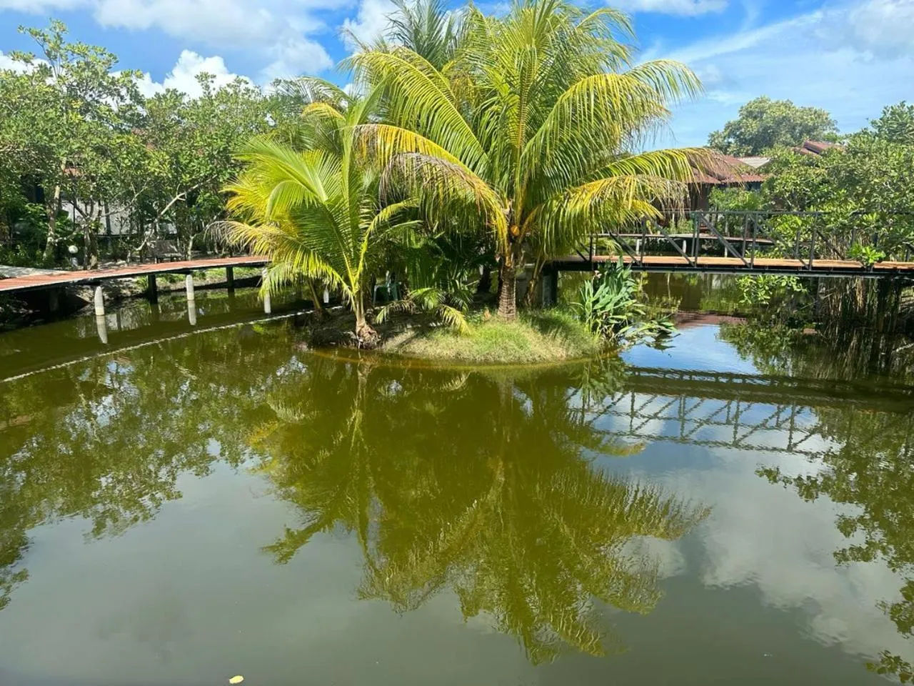 Natural landscape in The Beatles Lagoon