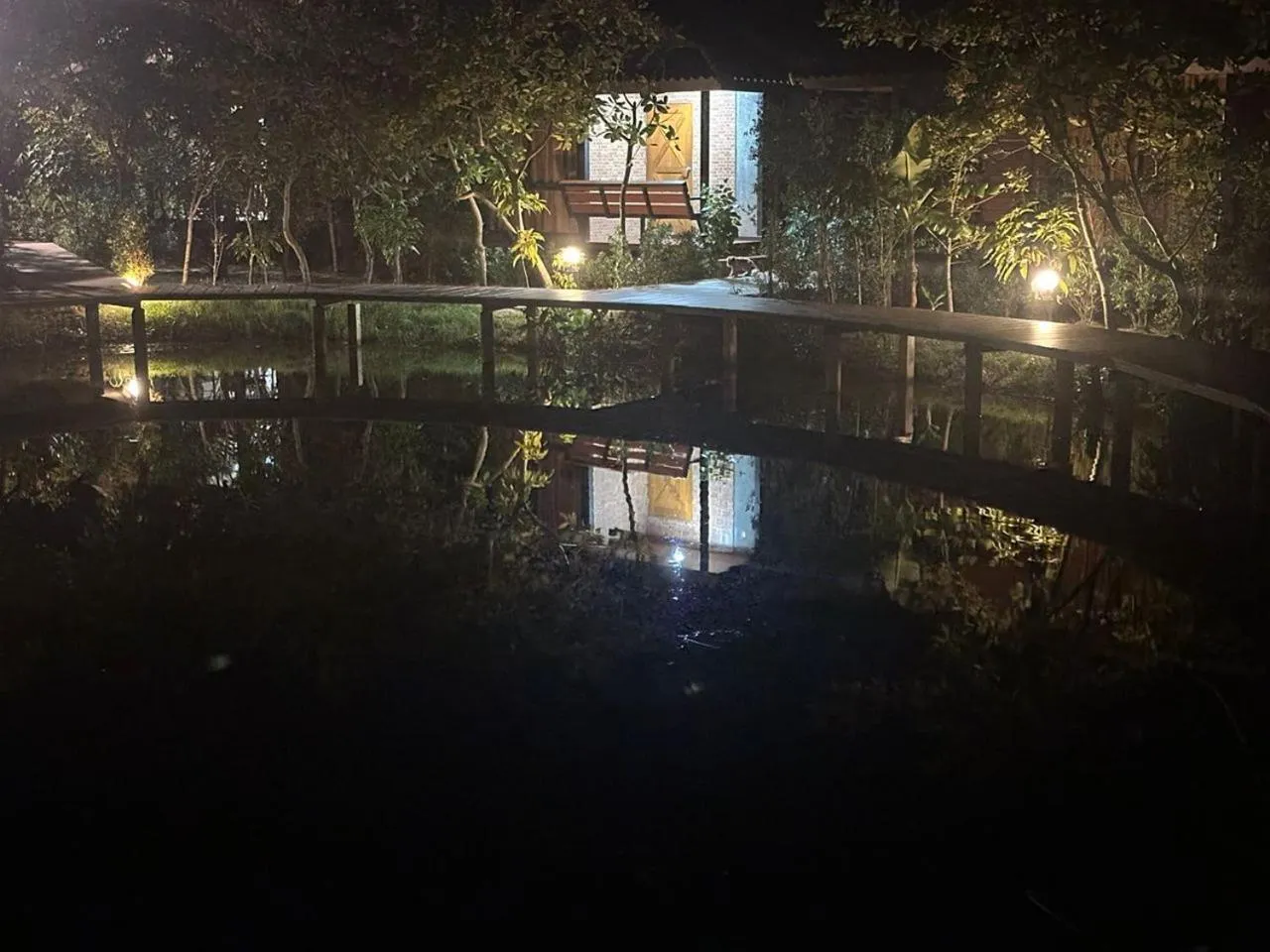 Night in The Beatles Lagoon