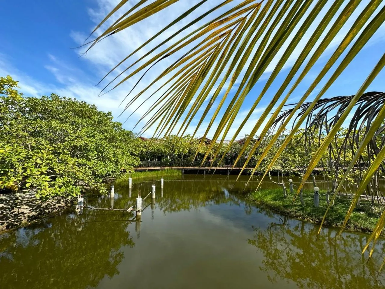 Natural landscape in The Beatles Lagoon