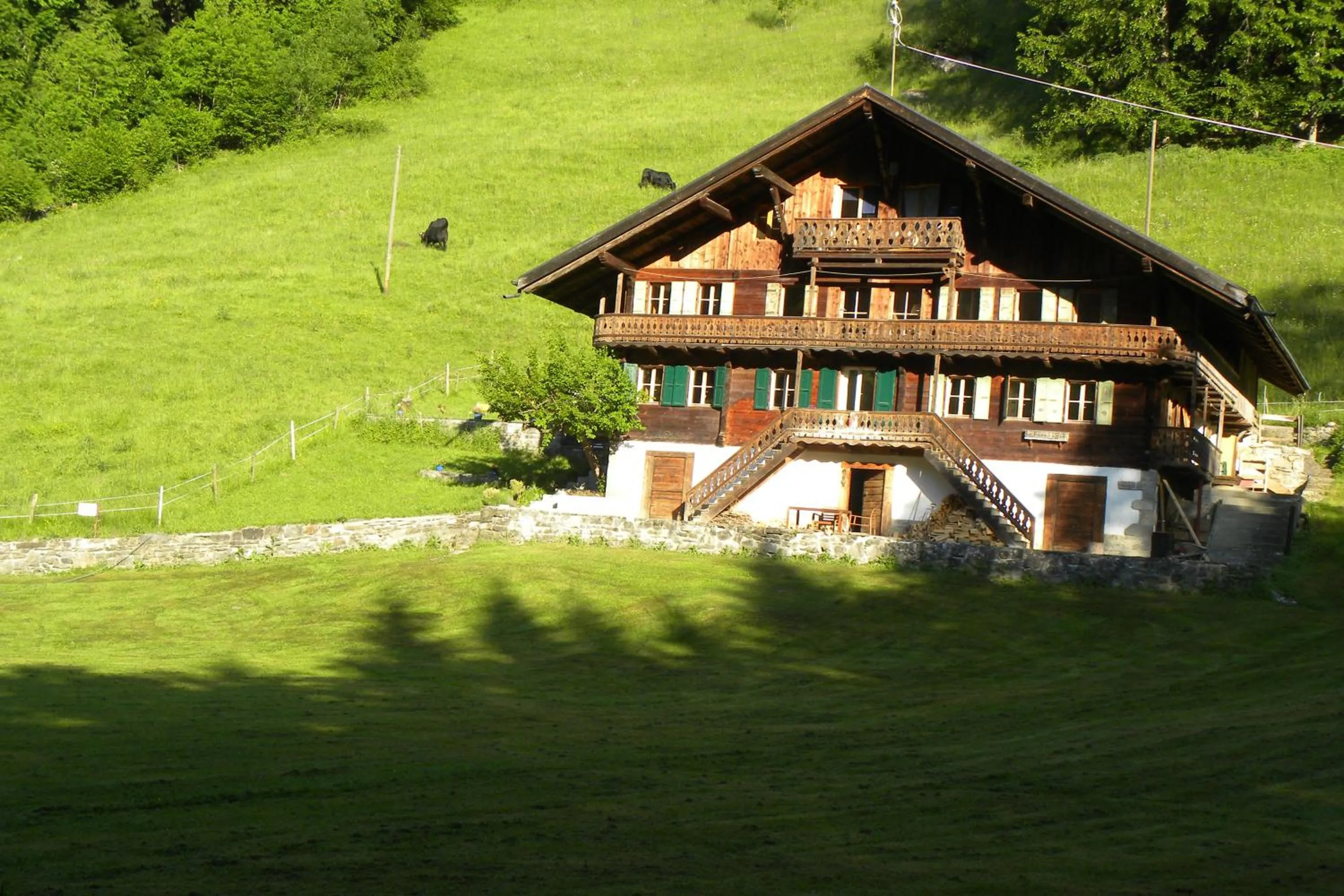 Property building in Spacious Swiss Alpine Chalet for Nature Lovers