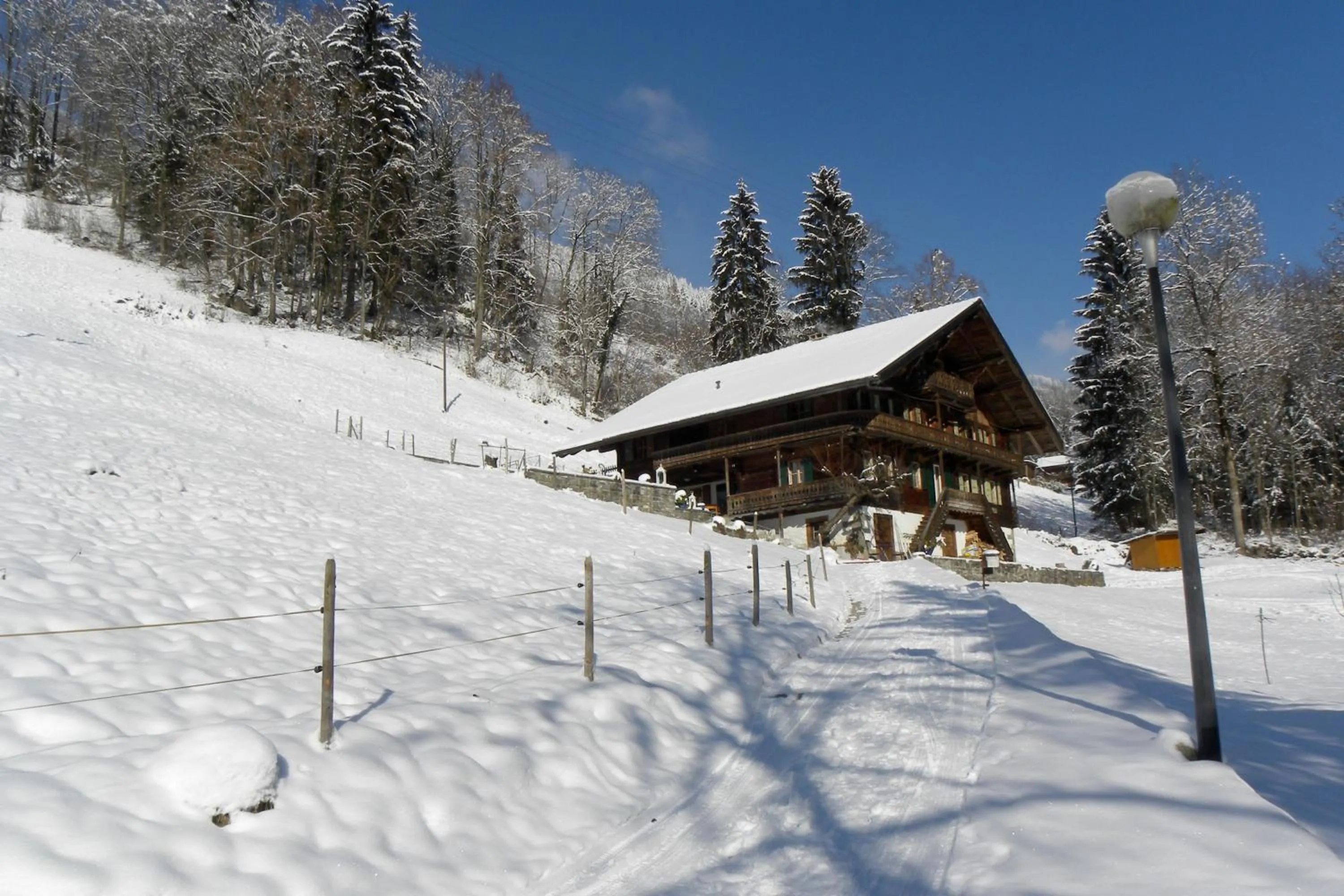 Property building in Spacious Swiss Alpine Chalet for Nature Lovers