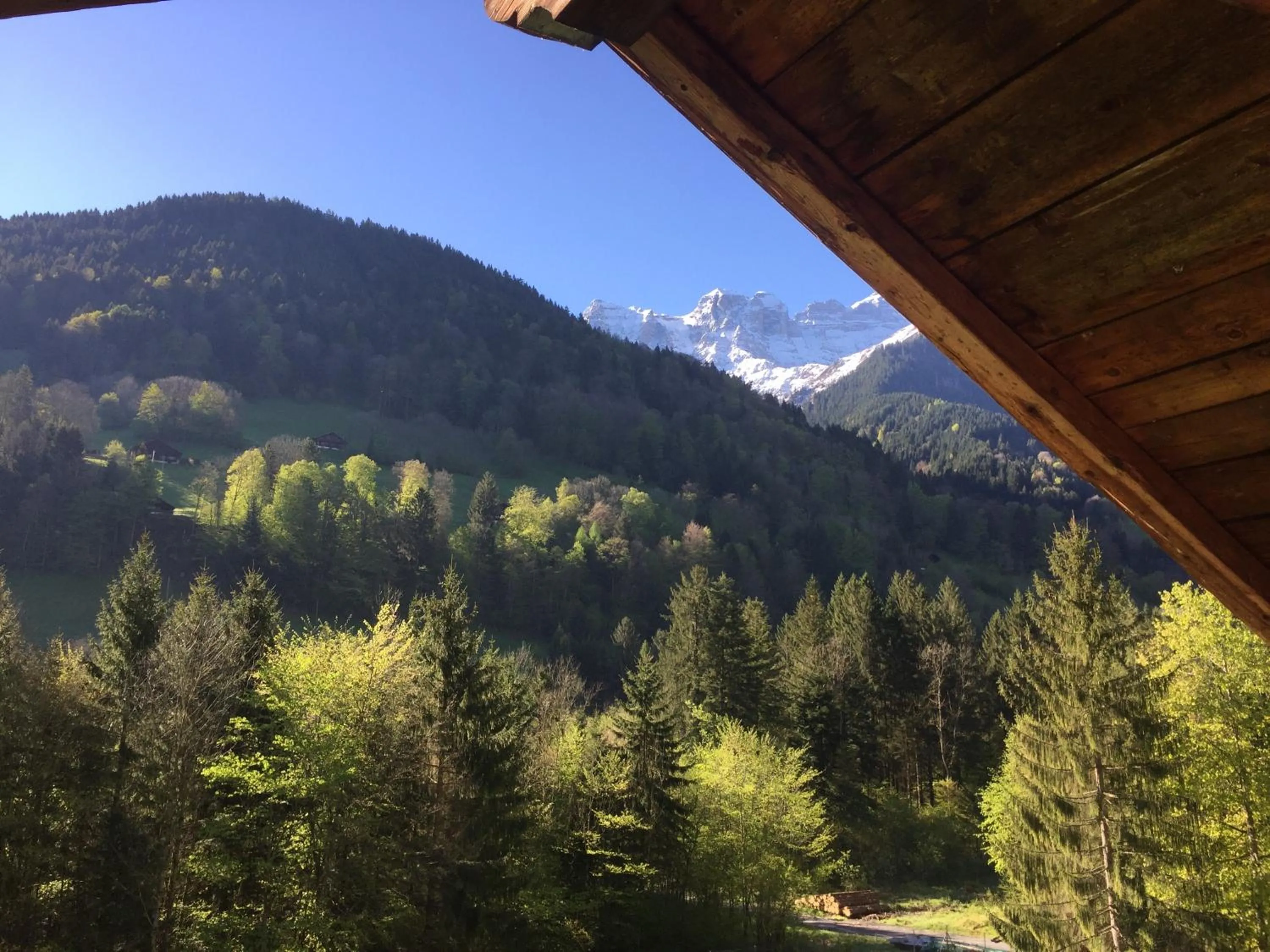 Natural landscape in Spacious Swiss Alpine Chalet for Nature Lovers