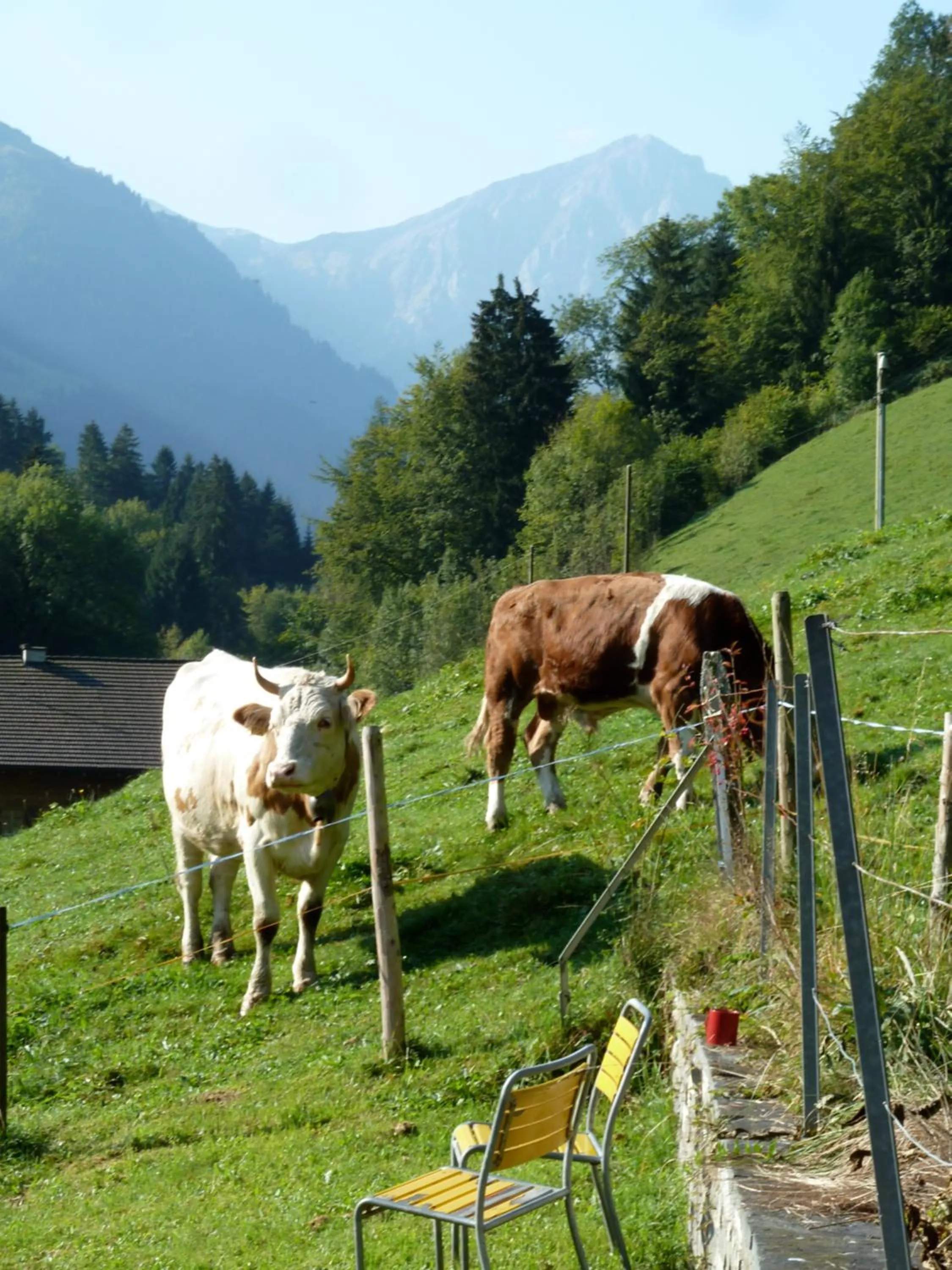 Other in Spacious Swiss Alpine Chalet for Nature Lovers
