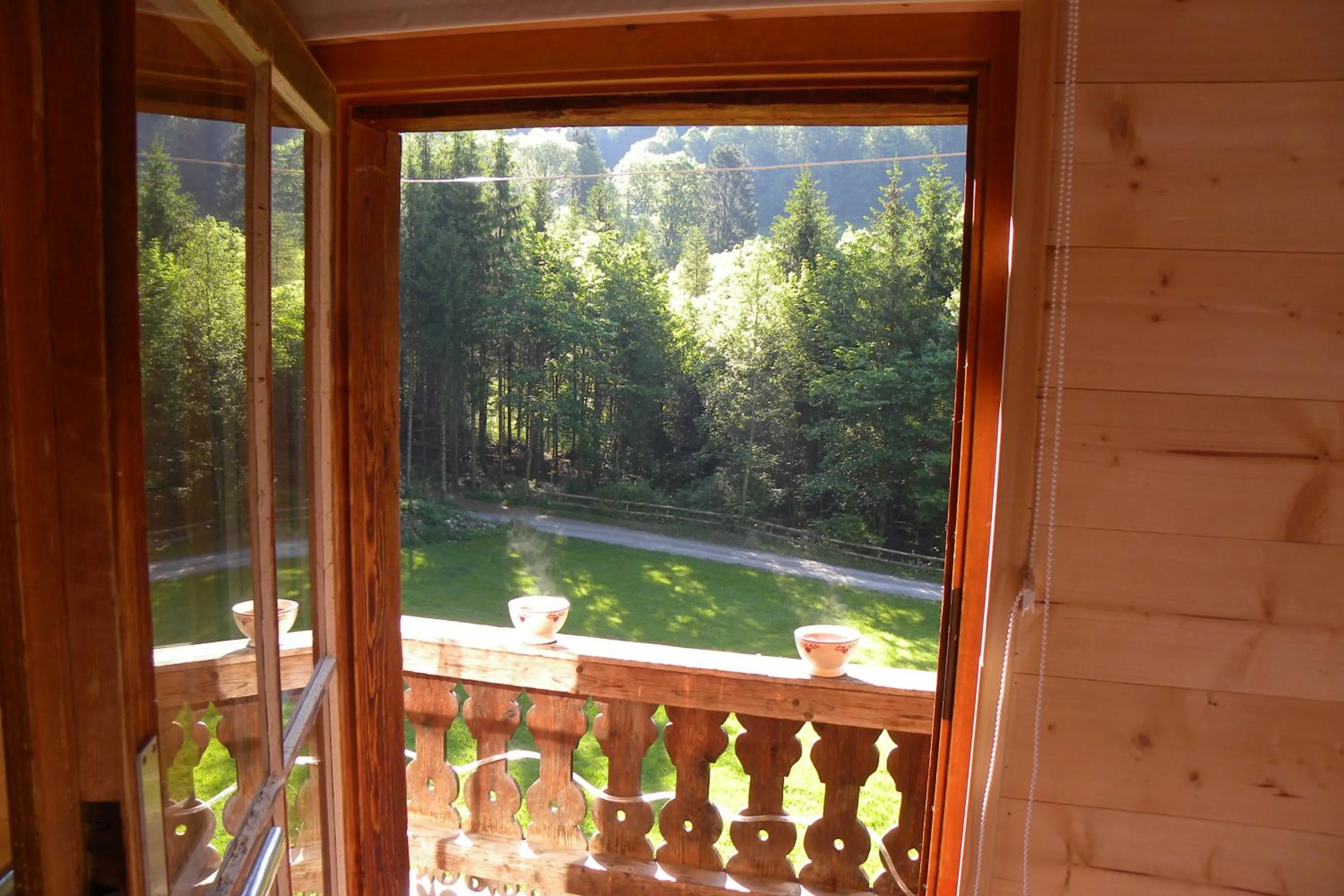 Balcony/Terrace in Spacious Swiss Alpine Chalet for Nature Lovers