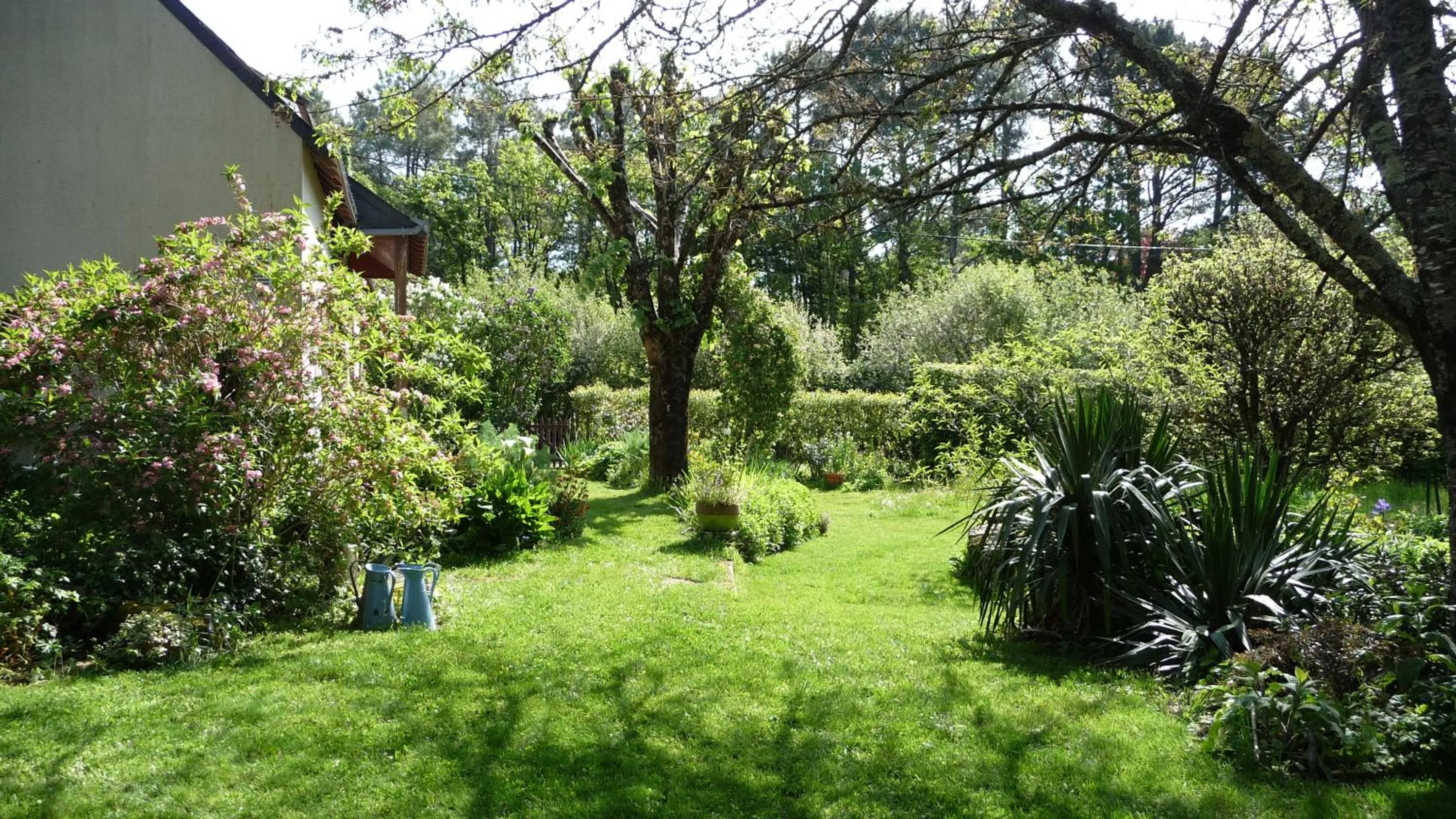 Garden view in Le Jardin aux Oiseaux