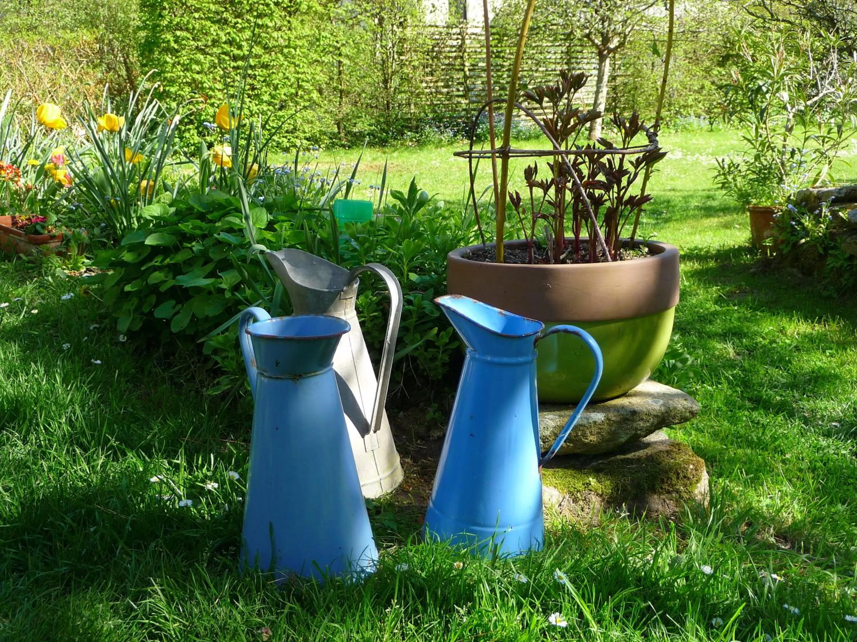 Garden in Le Jardin aux Oiseaux