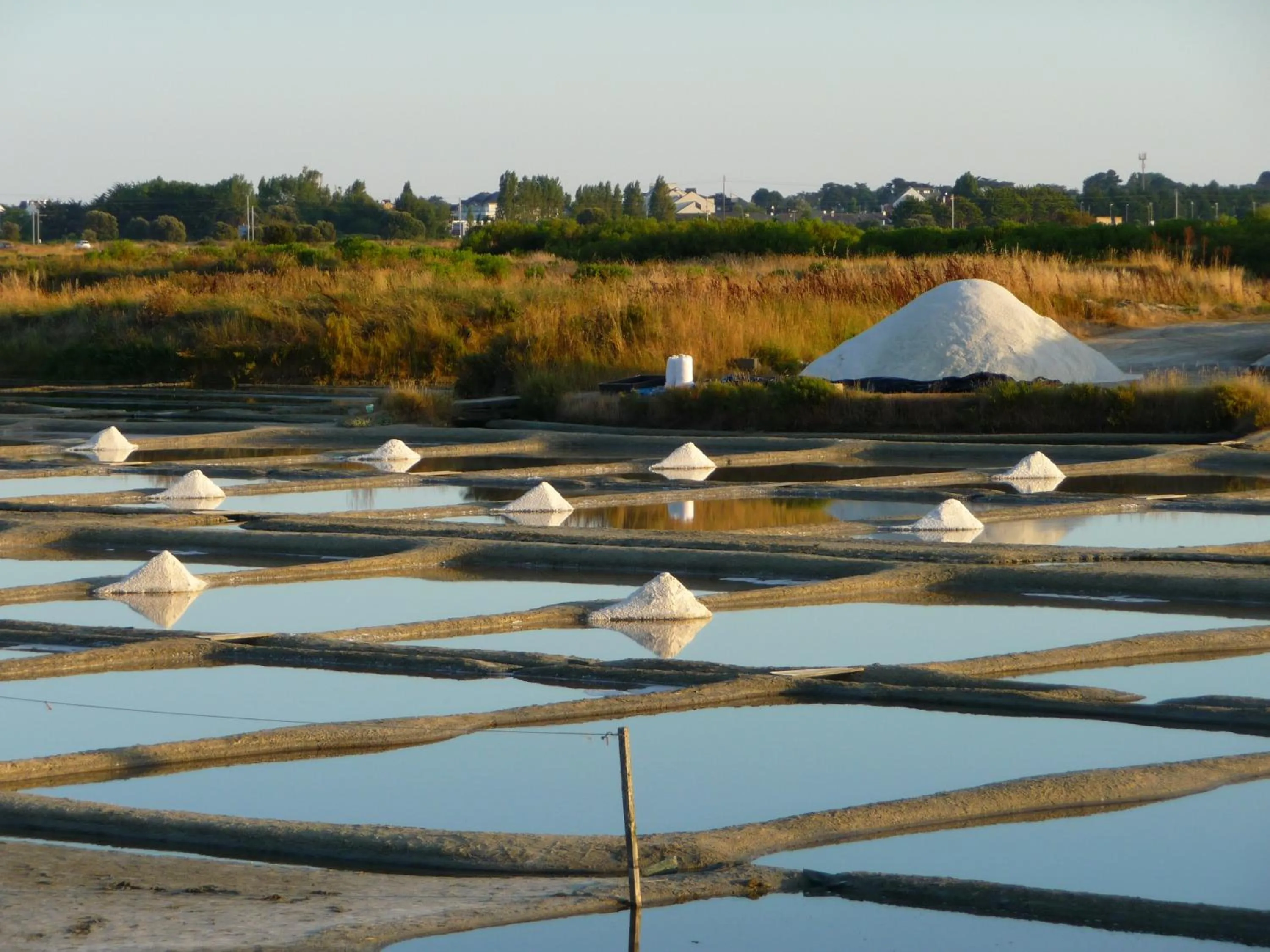 Activities in Le Jardin aux Oiseaux