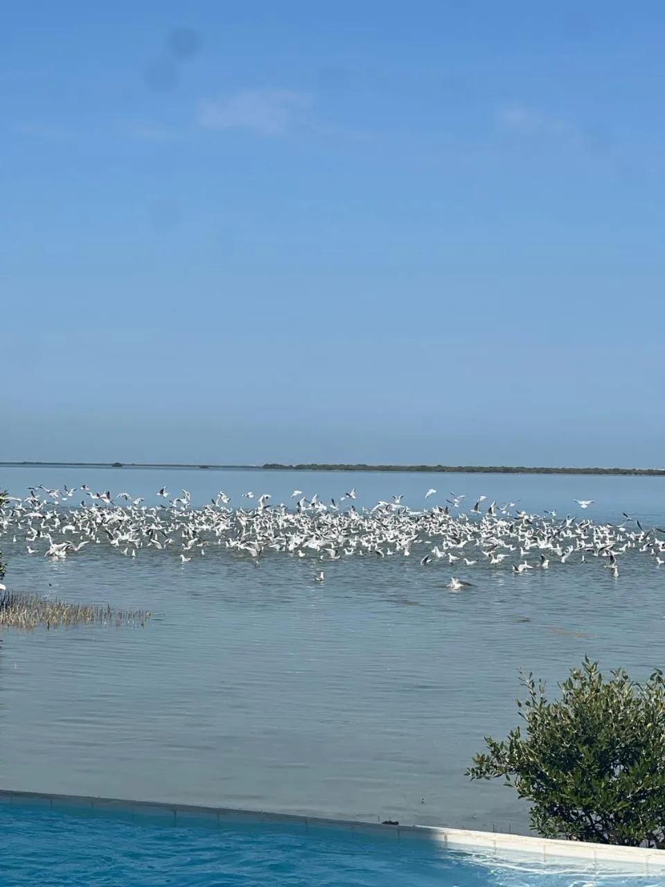Natural landscape in Casa Mikoko Resort