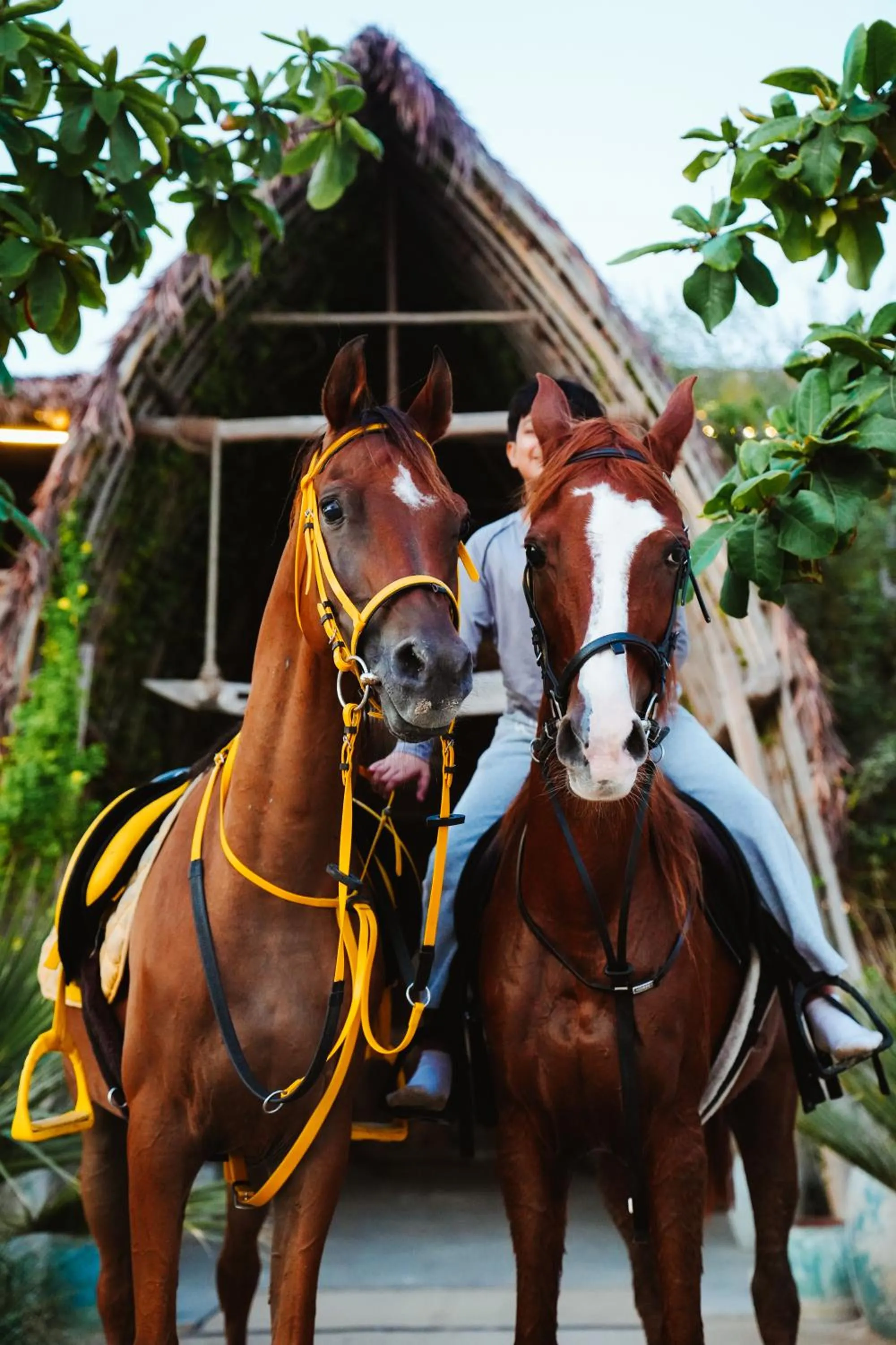 Activities in Casa Mikoko Resort