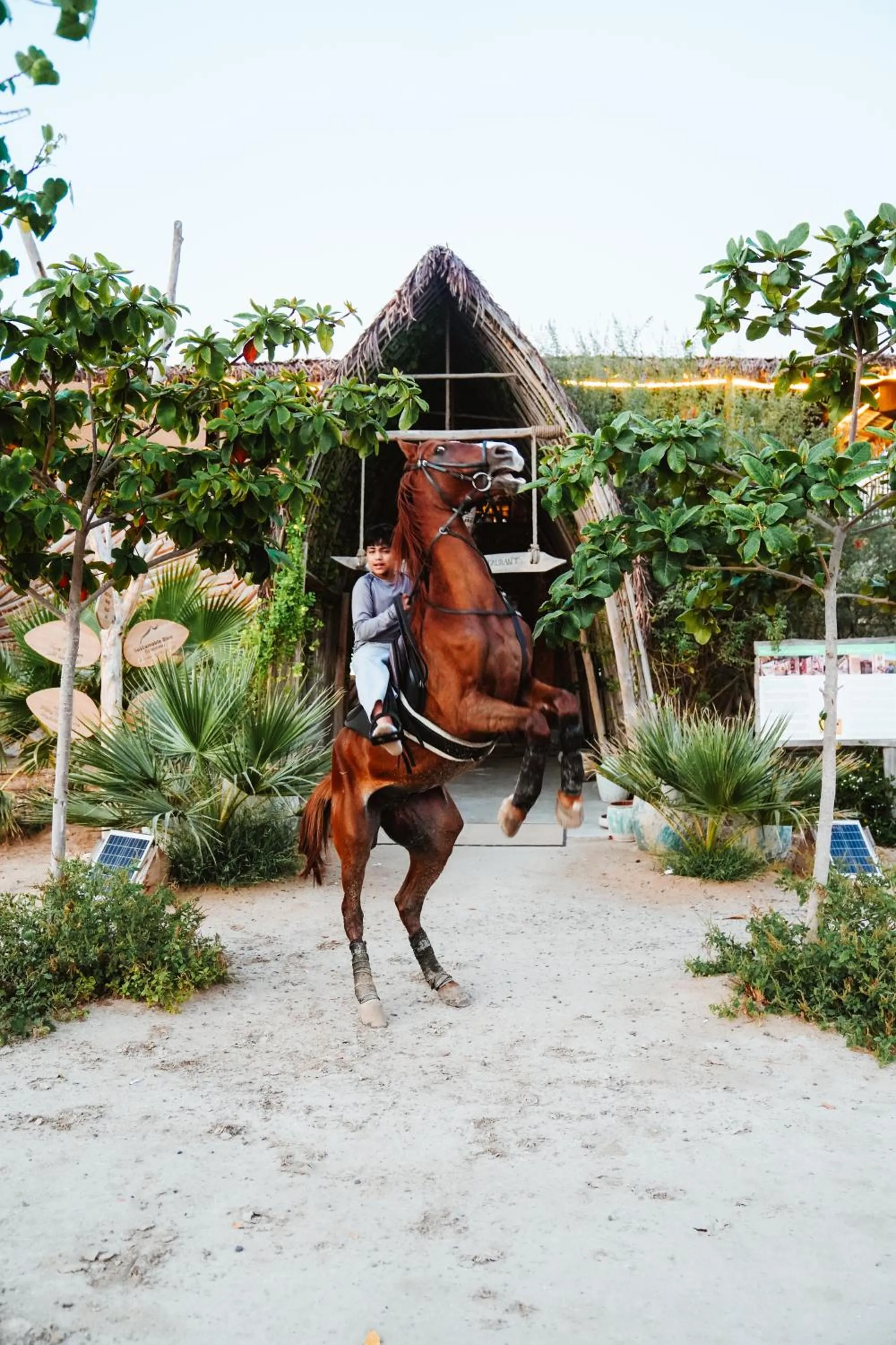 Horse-riding in Casa Mikoko Resort
