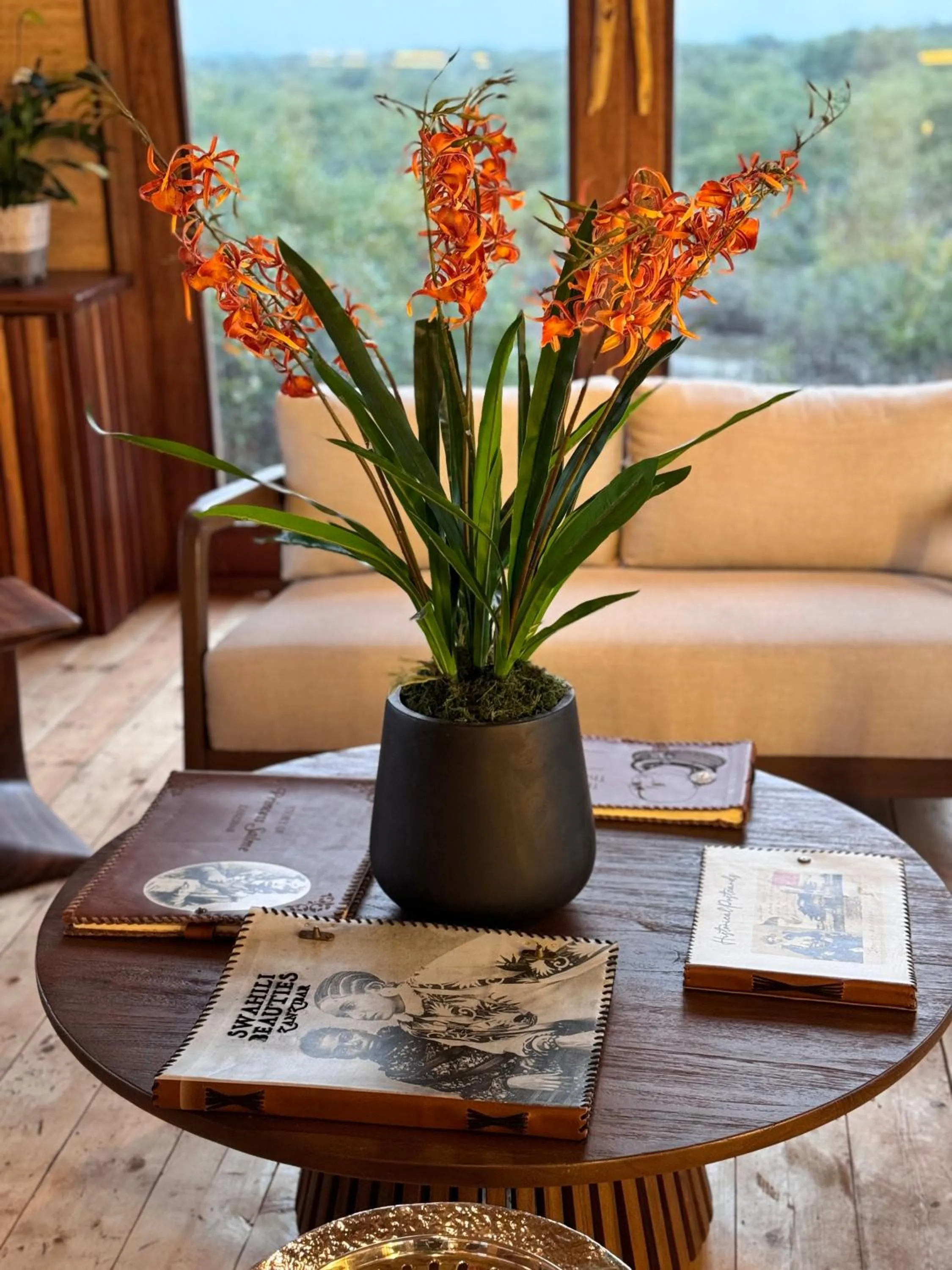 Property building in Casa Mikoko Resort