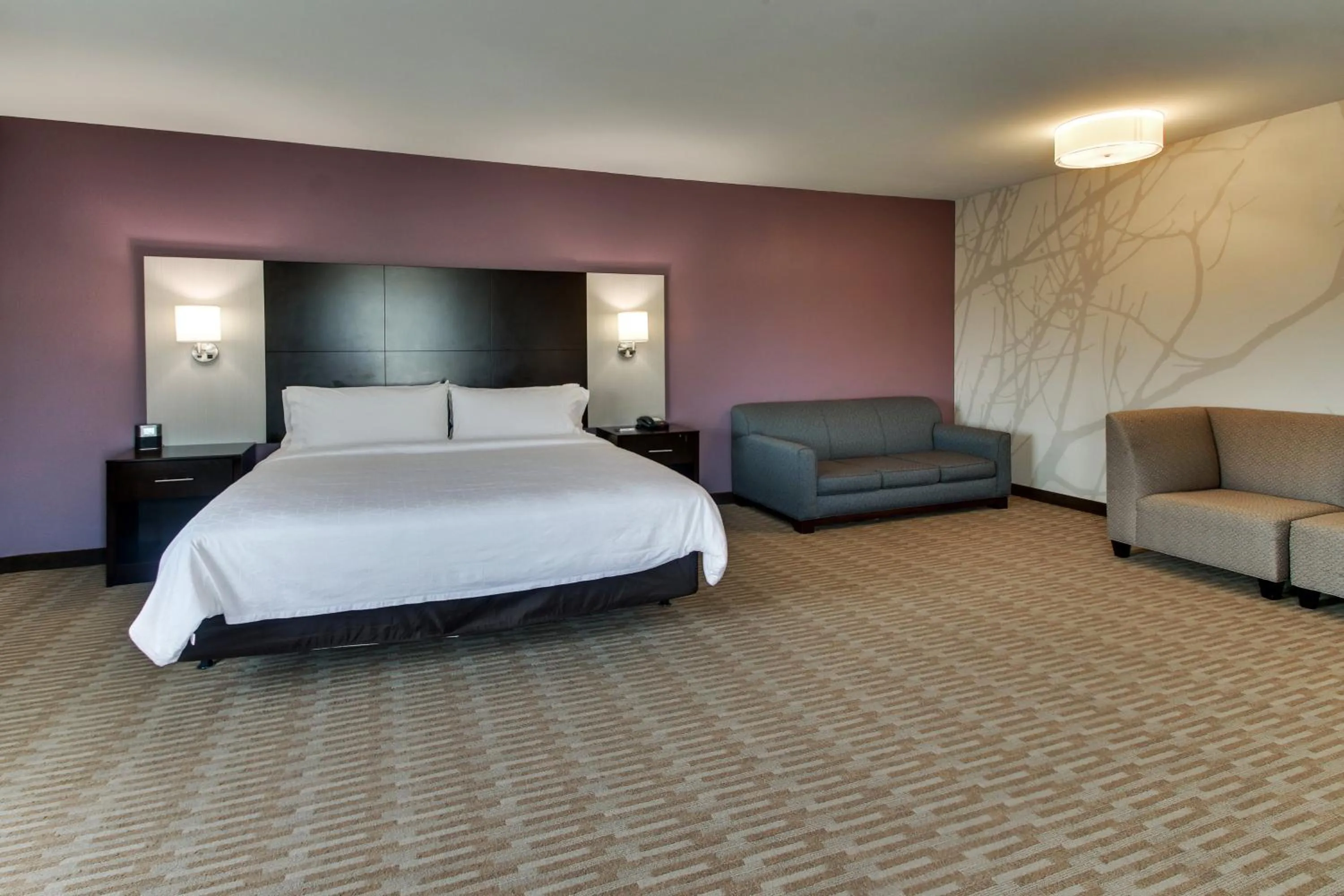 Photo of the whole room, Bed in Holiday Inn Express Cheektowaga North East by IHG