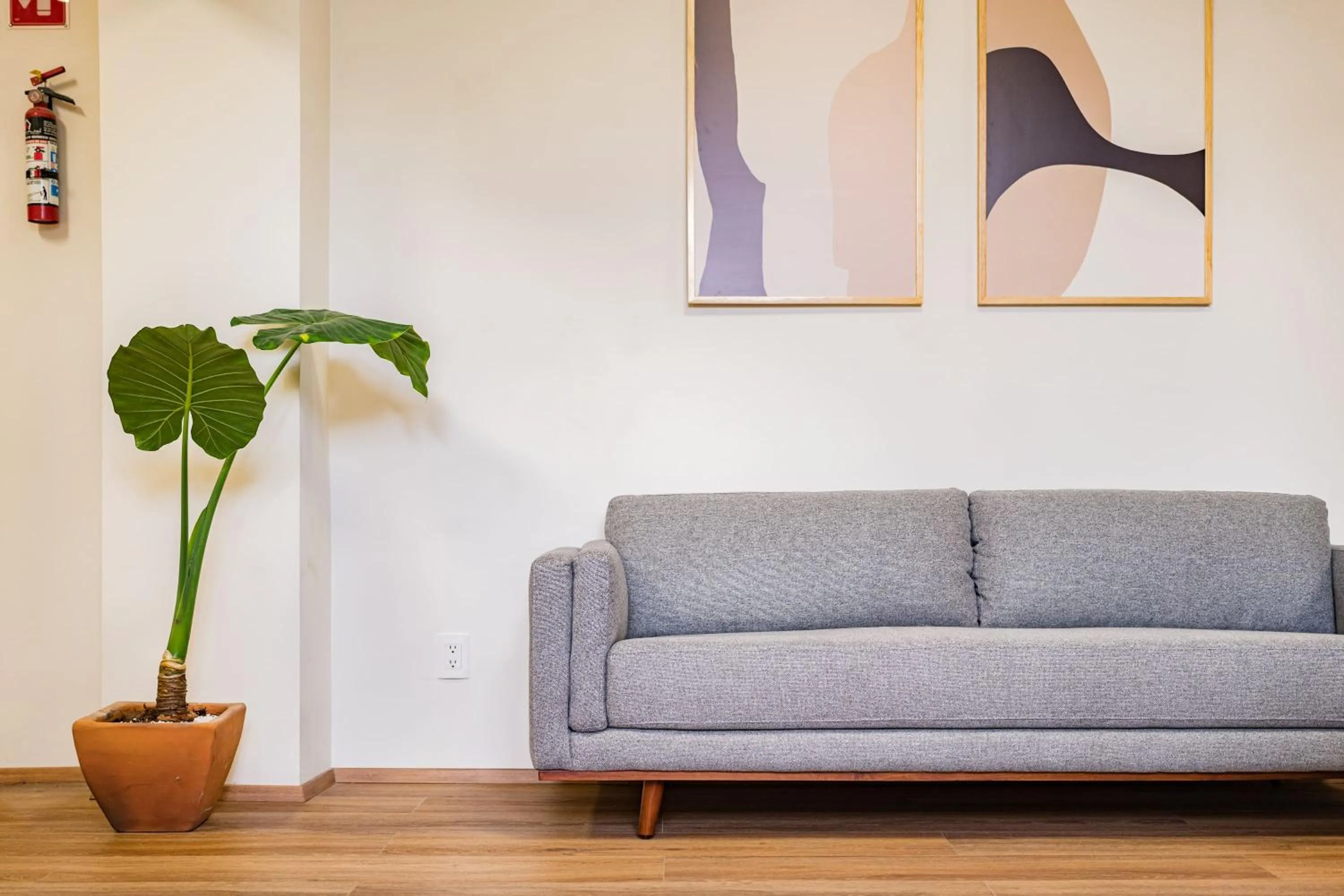 Communal lounge/ TV room in Escandon Suites by Escajal Rooms