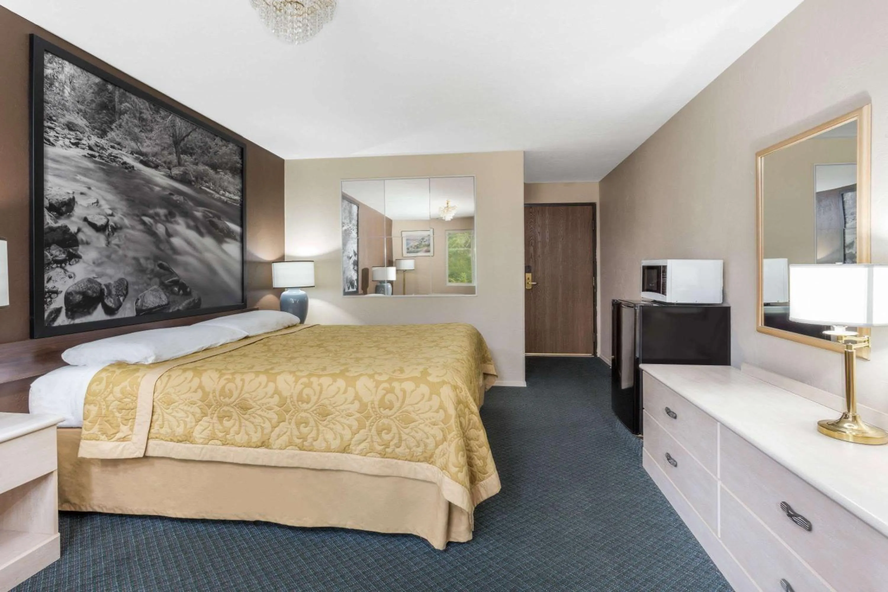 Photo of the whole room, Bed in Super 8 by Wyndham Shelton