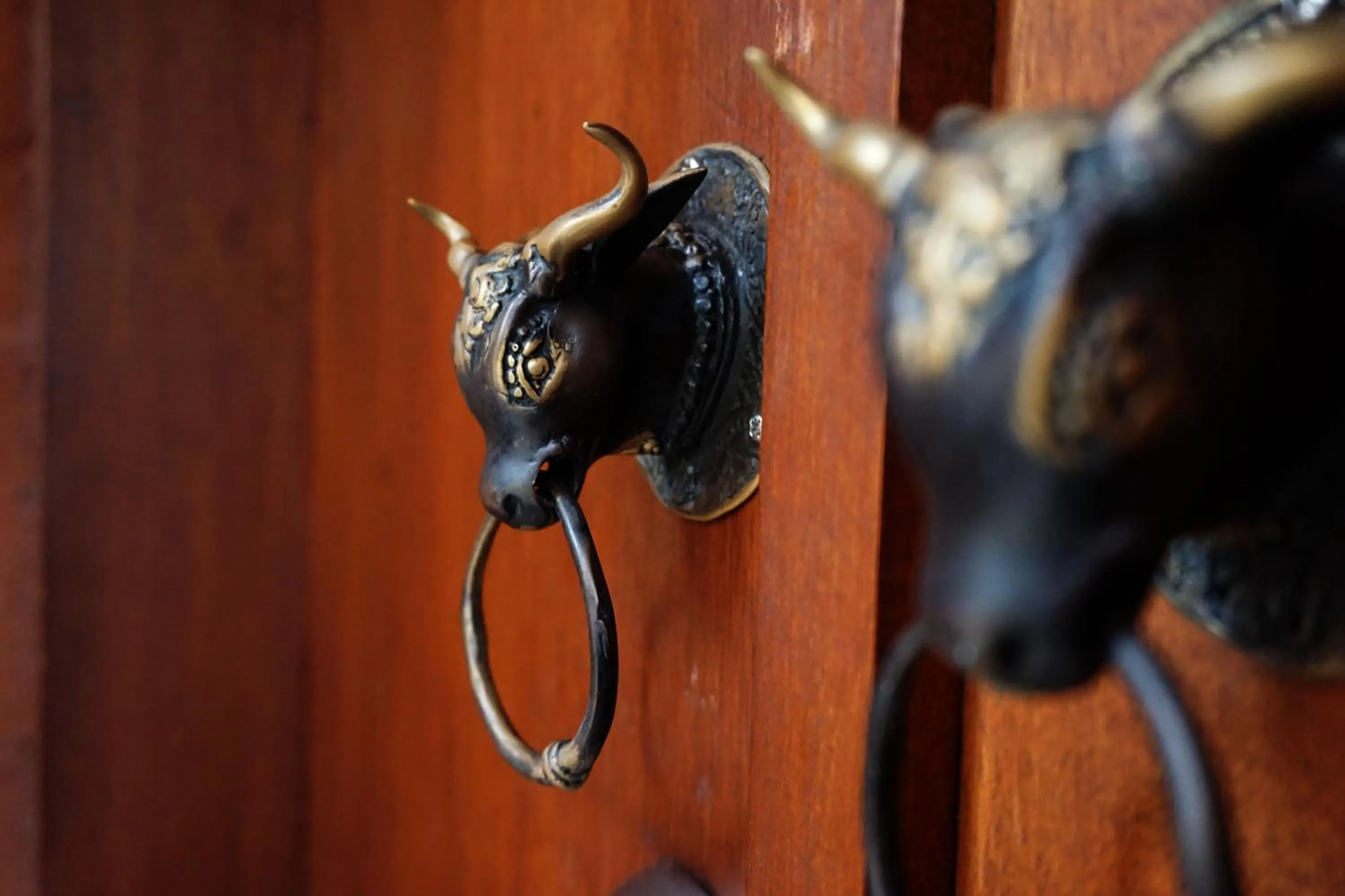 Decorative detail in Louto Dmell Villa & Guesthouse