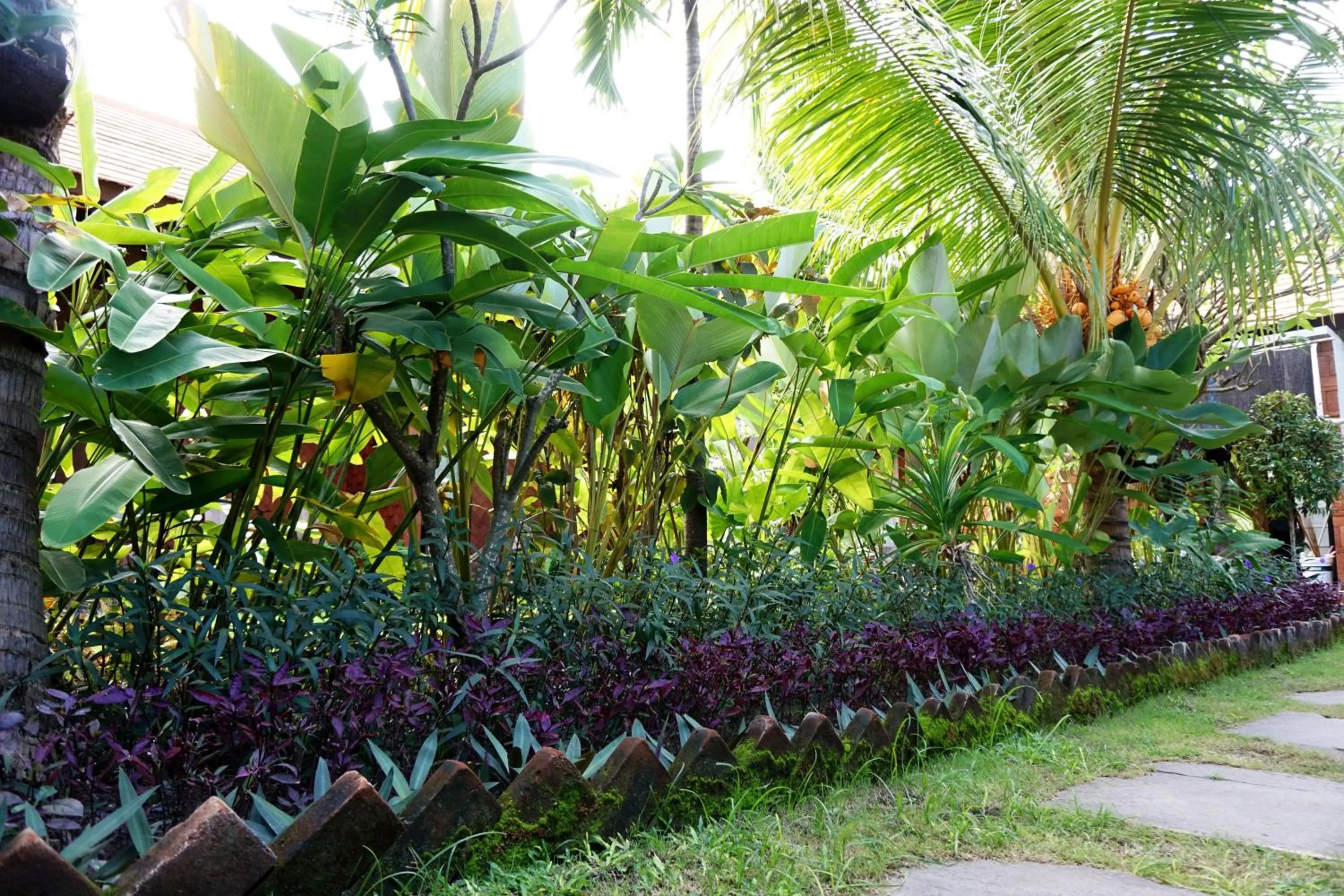 Garden in Louto Dmell Villa & Guesthouse