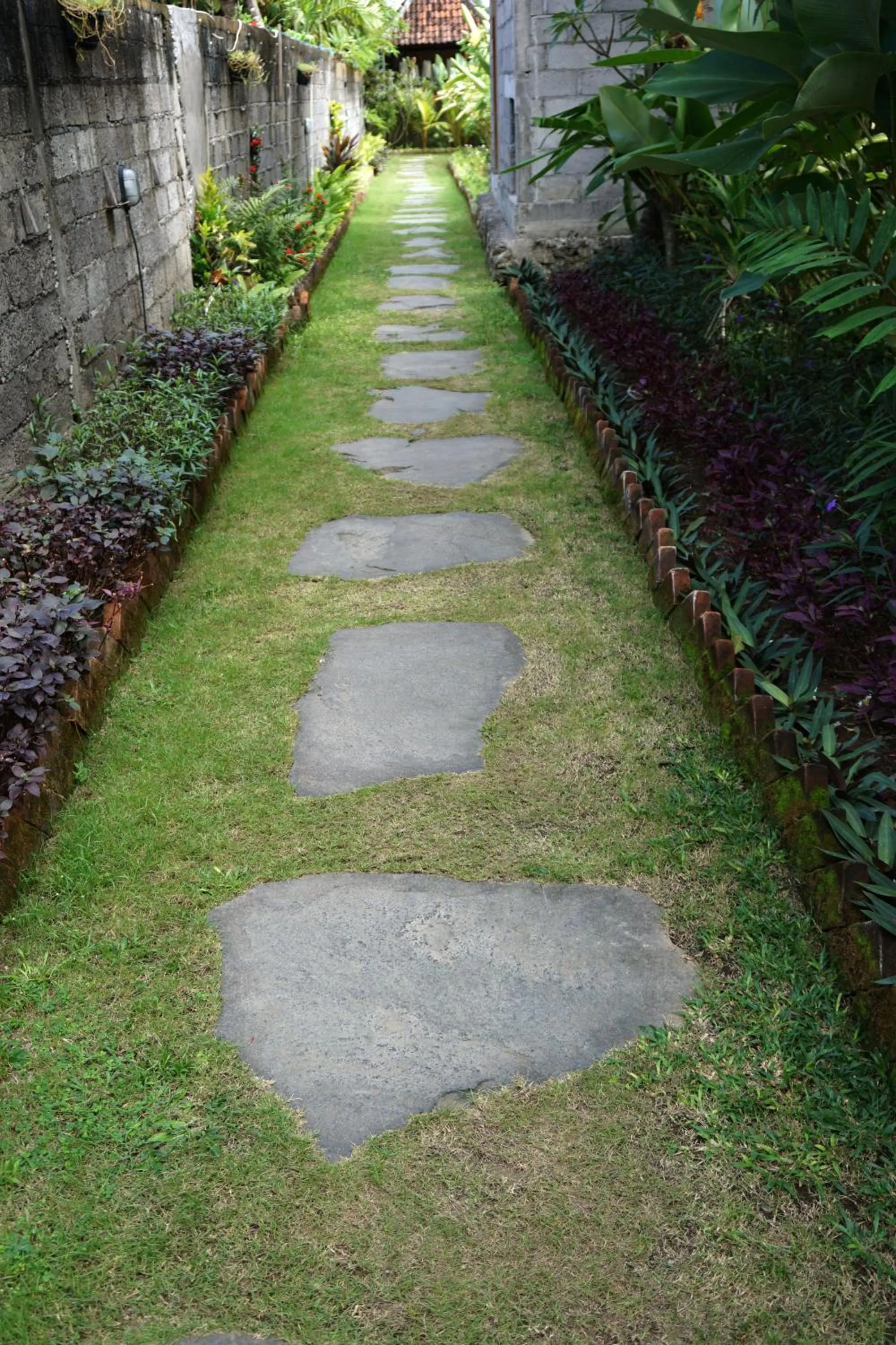 Garden view in Louto Dmell Villa & Guesthouse